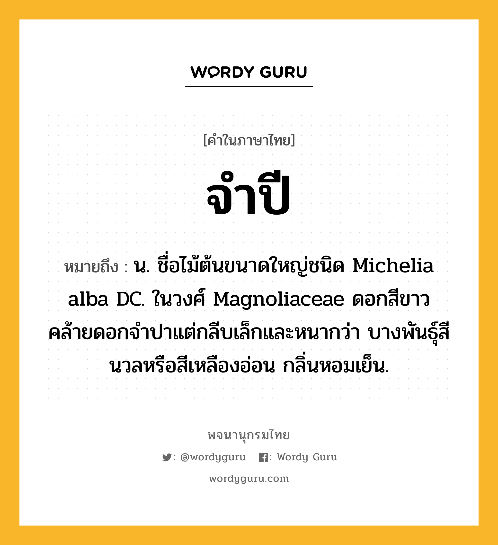 จำปี หมายถึงอะไร?, คำในภาษาไทย จำปี หมายถึง น. ชื่อไม้ต้นขนาดใหญ่ชนิด Michelia alba DC. ในวงศ์ Magnoliaceae ดอกสีขาว คล้ายดอกจําปาแต่กลีบเล็กและหนากว่า บางพันธุ์สีนวลหรือสีเหลืองอ่อน กลิ่นหอมเย็น.