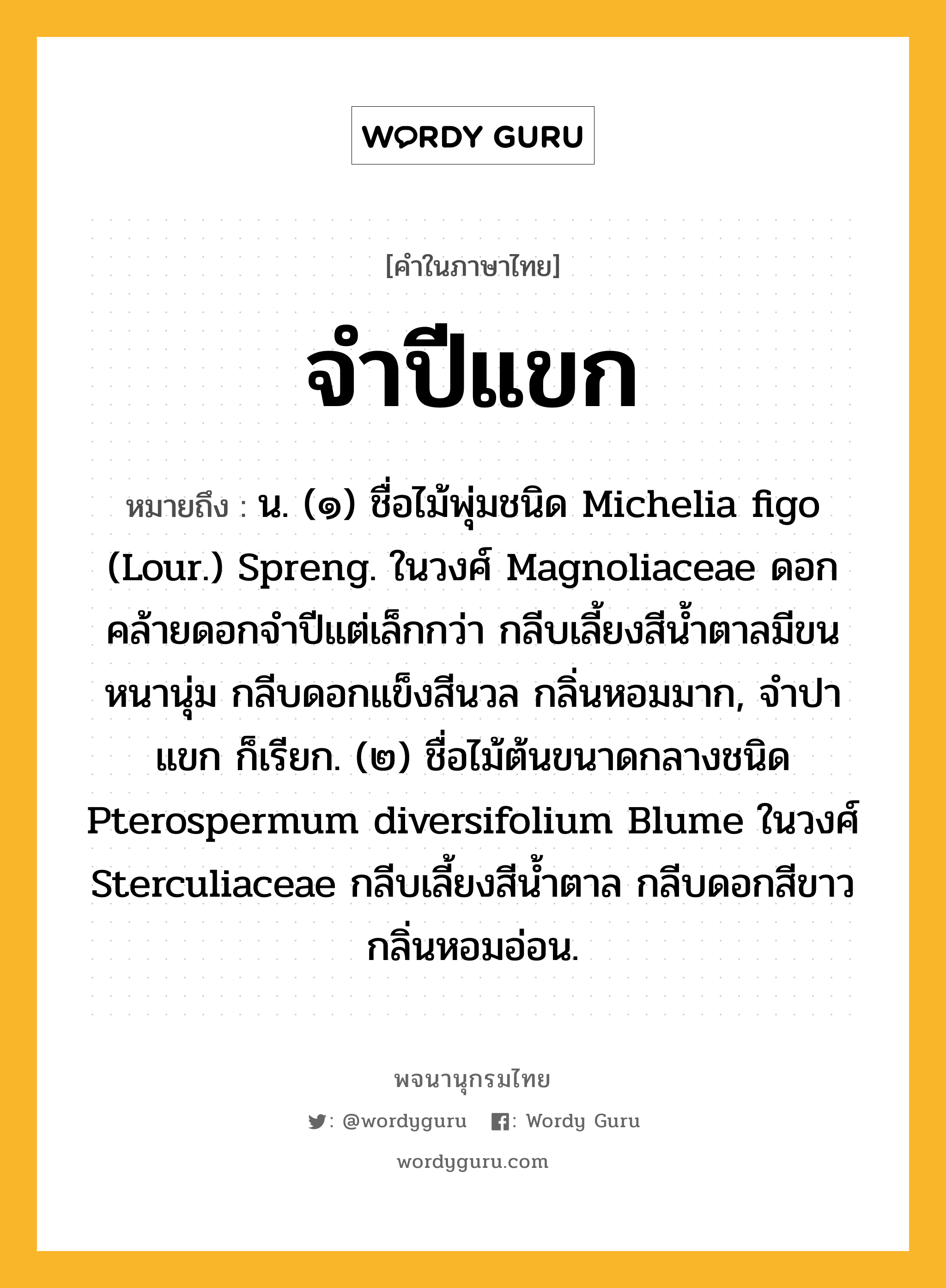 จำปีแขก ความหมาย หมายถึงอะไร?, คำในภาษาไทย จำปีแขก หมายถึง น. (๑) ชื่อไม้พุ่มชนิด Michelia figo (Lour.) Spreng. ในวงศ์ Magnoliaceae ดอกคล้ายดอกจําปีแต่เล็กกว่า กลีบเลี้ยงสีนํ้าตาลมีขนหนานุ่ม กลีบดอกแข็งสีนวล กลิ่นหอมมาก, จําปาแขก ก็เรียก. (๒) ชื่อไม้ต้นขนาดกลางชนิด Pterospermum diversifolium Blume ในวงศ์ Sterculiaceae กลีบเลี้ยงสีนํ้าตาล กลีบดอกสีขาว กลิ่นหอมอ่อน.