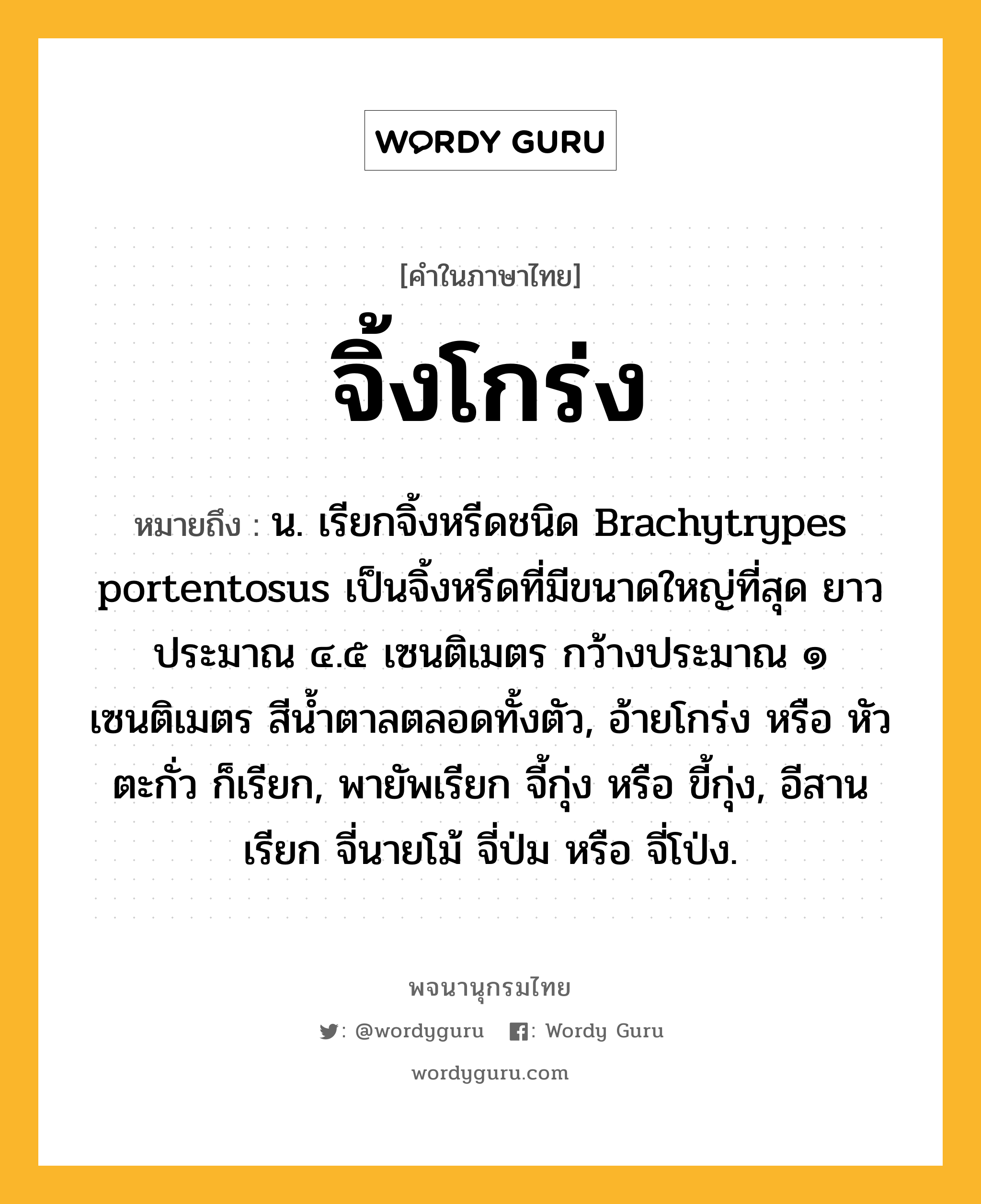 จิ้งโกร่ง หมายถึงอะไร?, คำในภาษาไทย จิ้งโกร่ง หมายถึง น. เรียกจิ้งหรีดชนิด Brachytrypes portentosus เป็นจิ้งหรีดที่มีขนาดใหญ่ที่สุด ยาวประมาณ ๔.๕ เซนติเมตร กว้างประมาณ ๑ เซนติเมตร สีน้ำตาลตลอดทั้งตัว, อ้ายโกร่ง หรือ หัวตะกั่ว ก็เรียก, พายัพเรียก จี้กุ่ง หรือ ขี้กุ่ง, อีสานเรียก จี่นายโม้ จี่ป่ม หรือ จี่โป่ง.