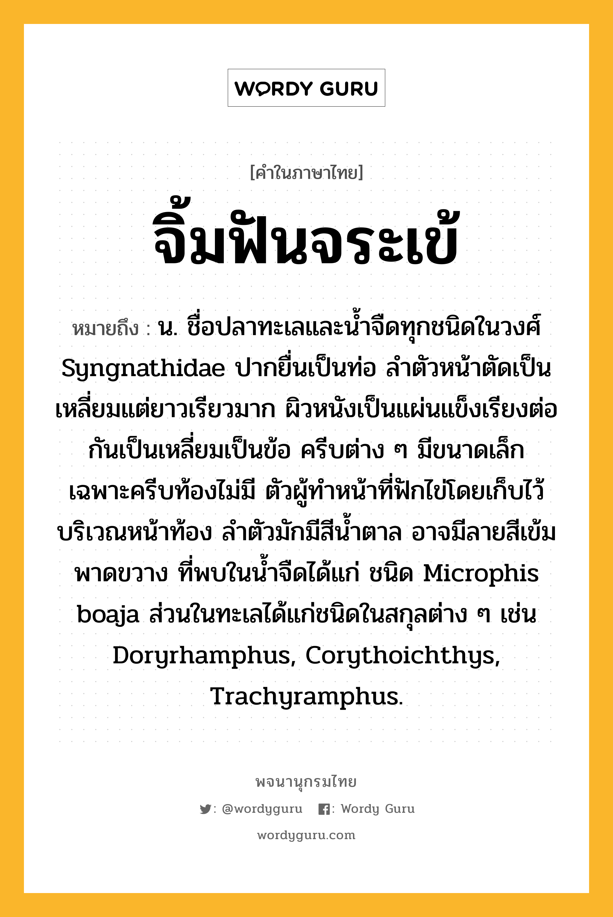 จิ้มฟันจระเข้ หมายถึงอะไร?, คำในภาษาไทย จิ้มฟันจระเข้ หมายถึง น. ชื่อปลาทะเลและนํ้าจืดทุกชนิดในวงศ์ Syngnathidae ปากยื่นเป็นท่อ ลําตัวหน้าตัดเป็นเหลี่ยมแต่ยาวเรียวมาก ผิวหนังเป็นแผ่นแข็งเรียงต่อกันเป็นเหลี่ยมเป็นข้อ ครีบต่าง ๆ มีขนาดเล็ก เฉพาะครีบท้องไม่มี ตัวผู้ทําหน้าที่ฟักไข่โดยเก็บไว้บริเวณหน้าท้อง ลําตัวมักมีสีนํ้าตาล อาจมีลายสีเข้มพาดขวาง ที่พบในนํ้าจืดได้แก่ ชนิด Microphis boaja ส่วนในทะเลได้แก่ชนิดในสกุลต่าง ๆ เช่น Doryrhamphus, Corythoichthys, Trachyramphus.