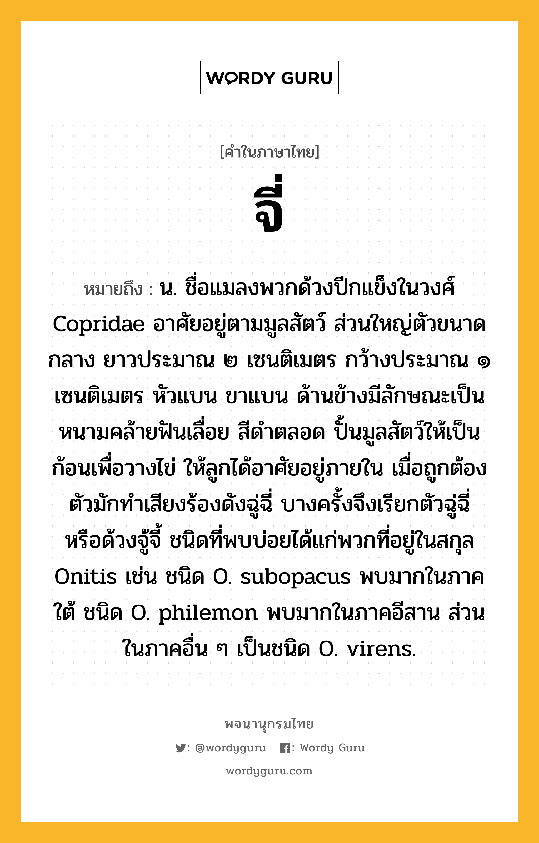 จี่ ความหมาย หมายถึงอะไร?, คำในภาษาไทย จี่ หมายถึง น. ชื่อแมลงพวกด้วงปีกแข็งในวงศ์ Copridae อาศัยอยู่ตามมูลสัตว์ ส่วนใหญ่ตัวขนาดกลาง ยาวประมาณ ๒ เซนติเมตร กว้างประมาณ ๑ เซนติเมตร หัวแบน ขาแบน ด้านข้างมีลักษณะเป็นหนามคล้ายฟันเลื่อย สีดําตลอด ปั้นมูลสัตว์ให้เป็นก้อนเพื่อวางไข่ ให้ลูกได้อาศัยอยู่ภายใน เมื่อถูกต้องตัวมักทําเสียงร้องดังฉู่ฉี่ บางครั้งจึงเรียกตัวฉู่ฉี่ หรือด้วงจู้จี้ ชนิดที่พบบ่อยได้แก่พวกที่อยู่ในสกุล Onitis เช่น ชนิด O. subopacus พบมากในภาคใต้ ชนิด O. philemon พบมากในภาคอีสาน ส่วนในภาคอื่น ๆ เป็นชนิด O. virens.