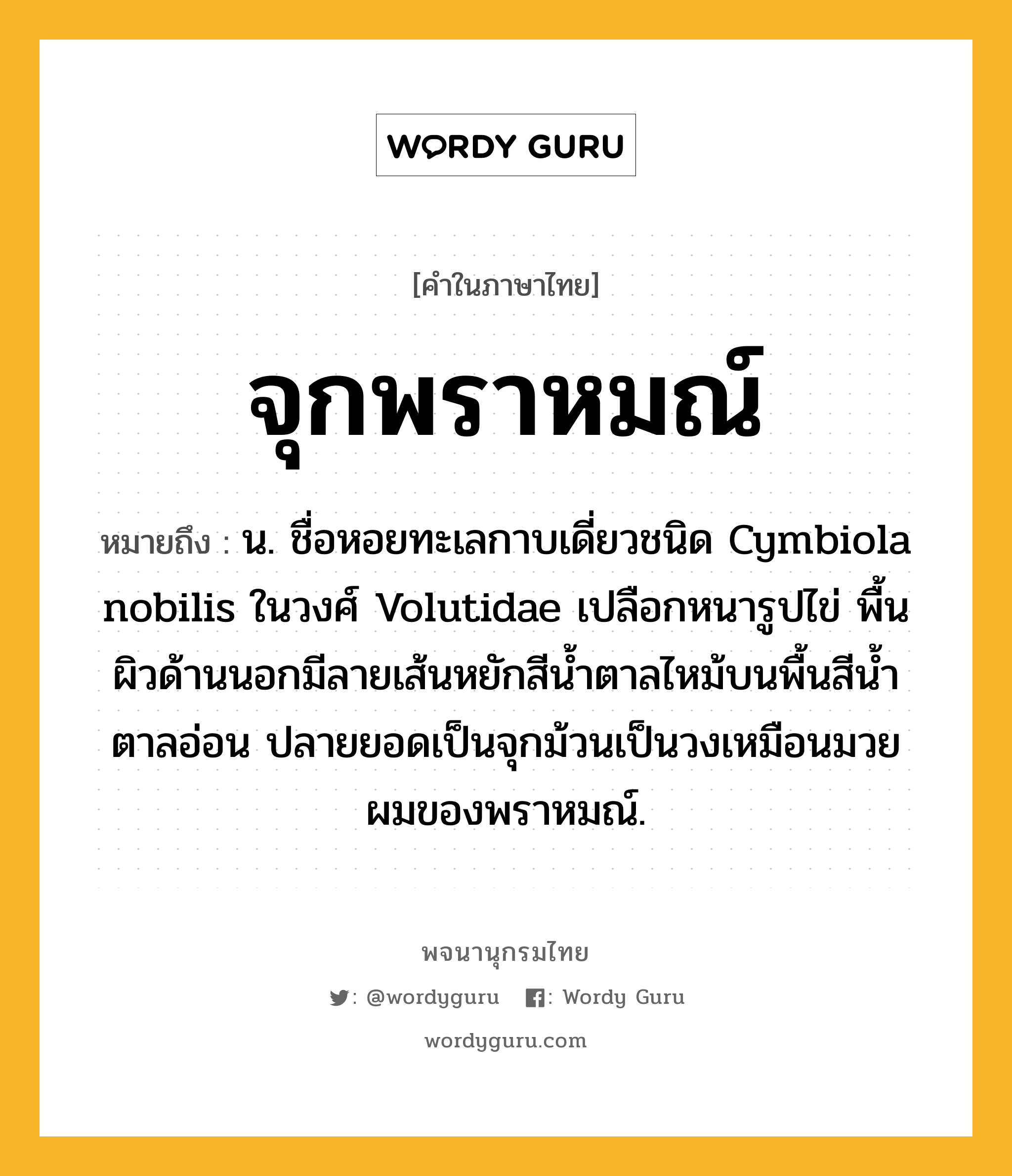 จุกพราหมณ์ หมายถึงอะไร?, คำในภาษาไทย จุกพราหมณ์ หมายถึง น. ชื่อหอยทะเลกาบเดี่ยวชนิด Cymbiola nobilis ในวงศ์ Volutidae เปลือกหนารูปไข่ พื้นผิวด้านนอกมีลายเส้นหยักสีนํ้าตาลไหม้บนพื้นสีนํ้าตาลอ่อน ปลายยอดเป็นจุกม้วนเป็นวงเหมือนมวยผมของพราหมณ์.