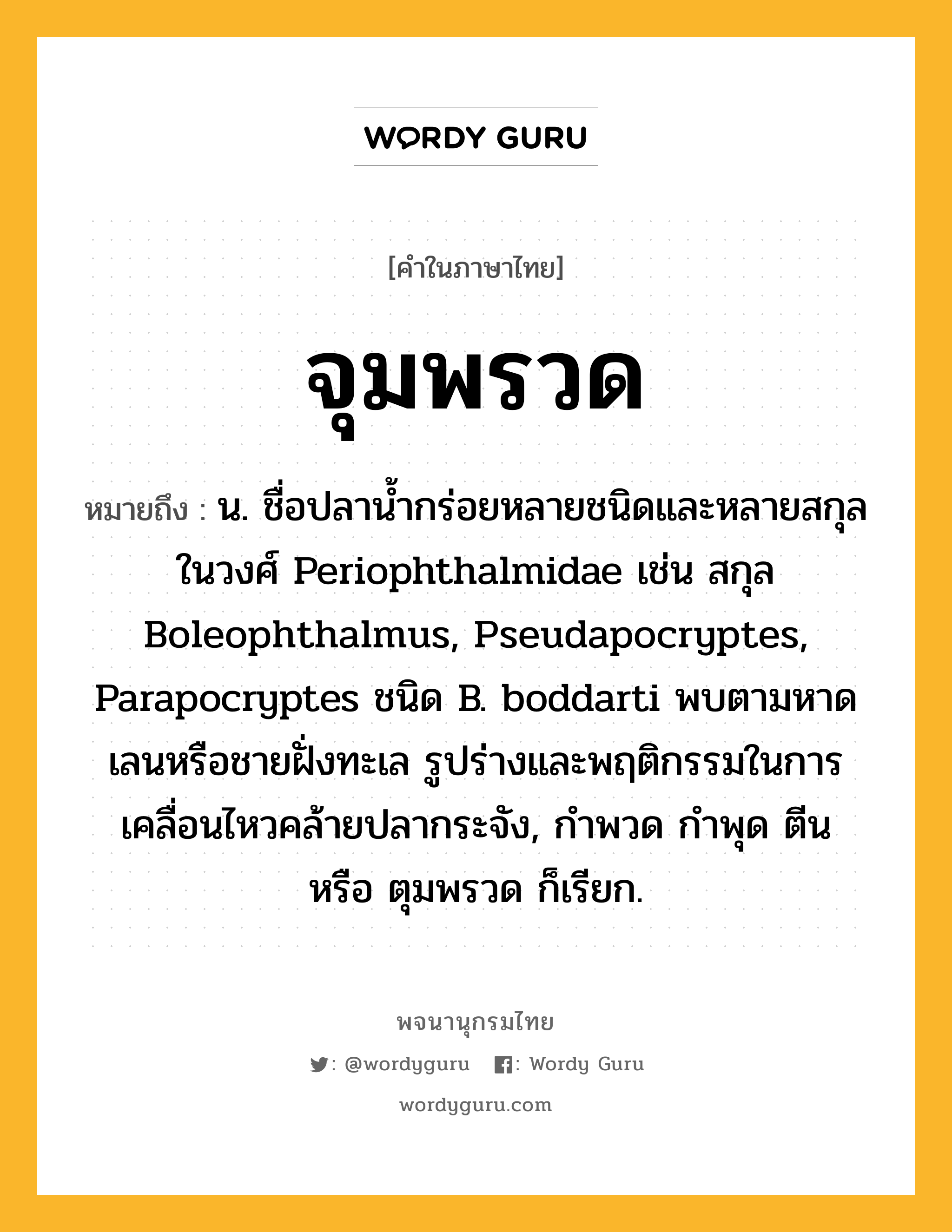 จุมพรวด หมายถึงอะไร?, คำในภาษาไทย จุมพรวด หมายถึง น. ชื่อปลาน้ำกร่อยหลายชนิดและหลายสกุลในวงศ์ Periophthalmidae เช่น สกุล Boleophthalmus, Pseudapocryptes, Parapocryptes ชนิด B. boddarti พบตามหาดเลนหรือชายฝั่งทะเล รูปร่างและพฤติกรรมในการเคลื่อนไหวคล้ายปลากระจัง, กำพวด กำพุด ตีน หรือ ตุมพรวด ก็เรียก.