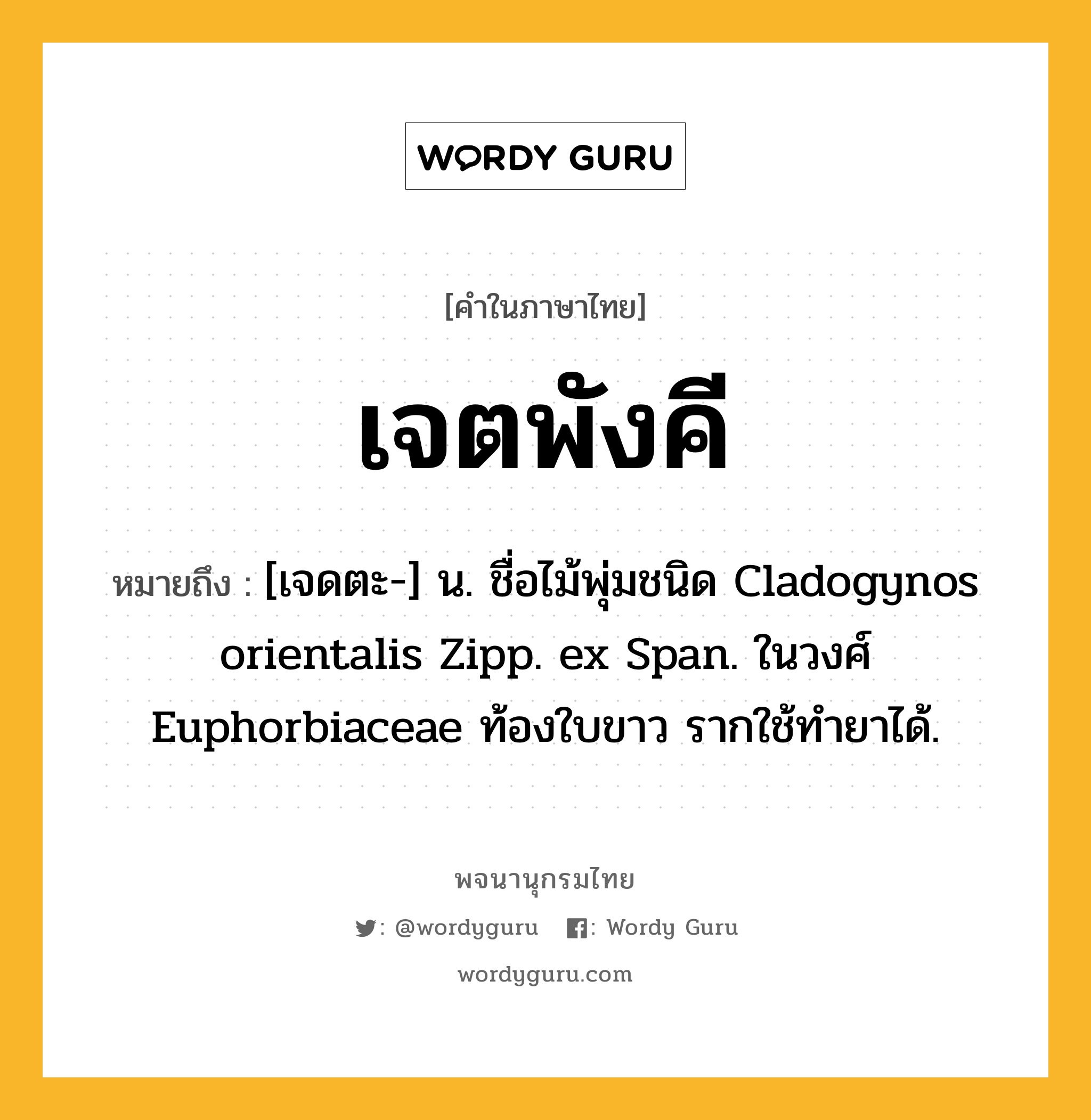 เจตพังคี หมายถึงอะไร?, คำในภาษาไทย เจตพังคี หมายถึง [เจดตะ-] น. ชื่อไม้พุ่มชนิด Cladogynos orientalis Zipp. ex Span. ในวงศ์ Euphorbiaceae ท้องใบขาว รากใช้ทํายาได้.