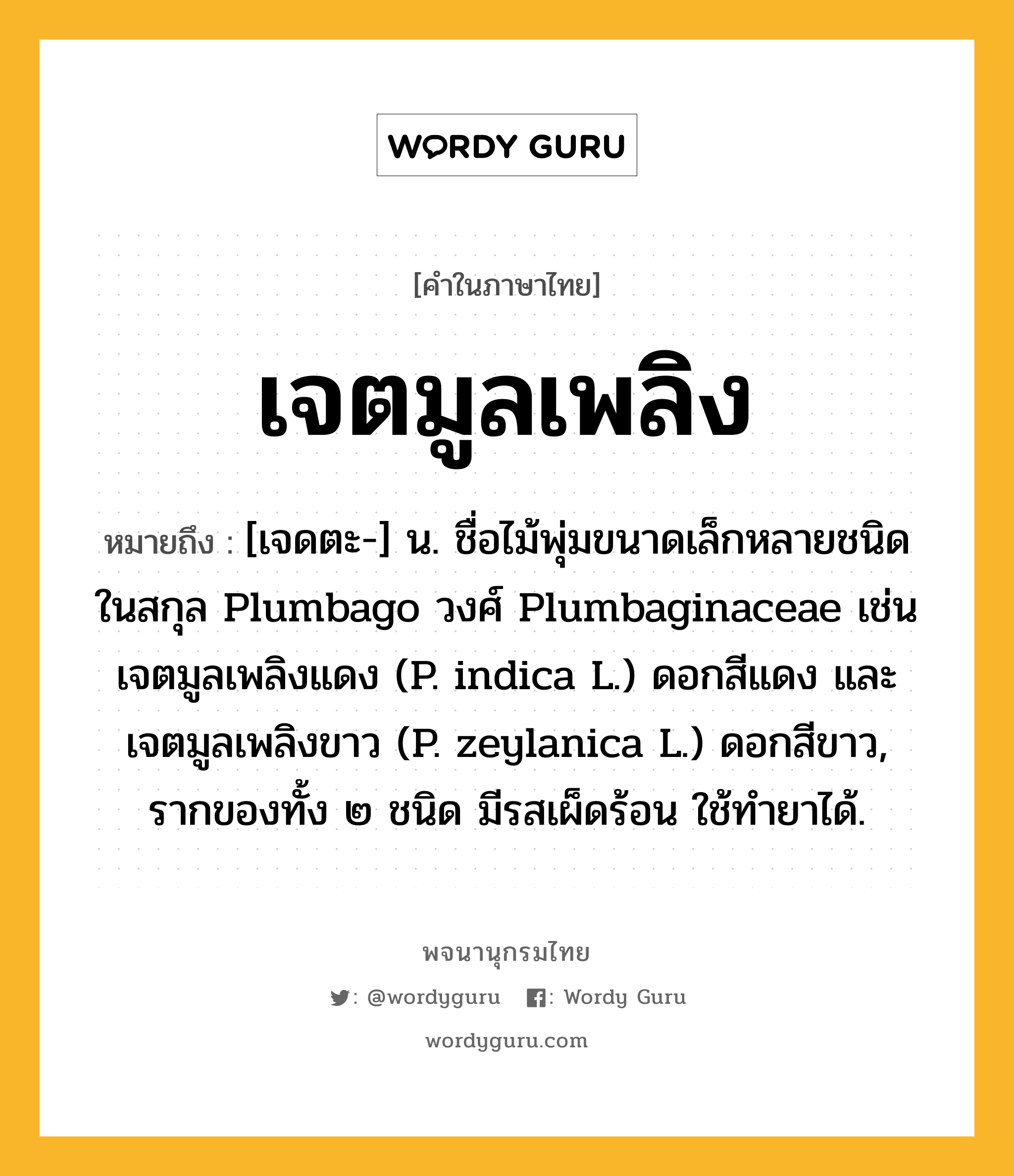 เจตมูลเพลิง หมายถึงอะไร?, คำในภาษาไทย เจตมูลเพลิง หมายถึง [เจดตะ-] น. ชื่อไม้พุ่มขนาดเล็กหลายชนิดในสกุล Plumbago วงศ์ Plumbaginaceae เช่น เจตมูลเพลิงแดง (P. indica L.) ดอกสีแดง และ เจตมูลเพลิงขาว (P. zeylanica L.) ดอกสีขาว, รากของทั้ง ๒ ชนิด มีรสเผ็ดร้อน ใช้ทํายาได้.