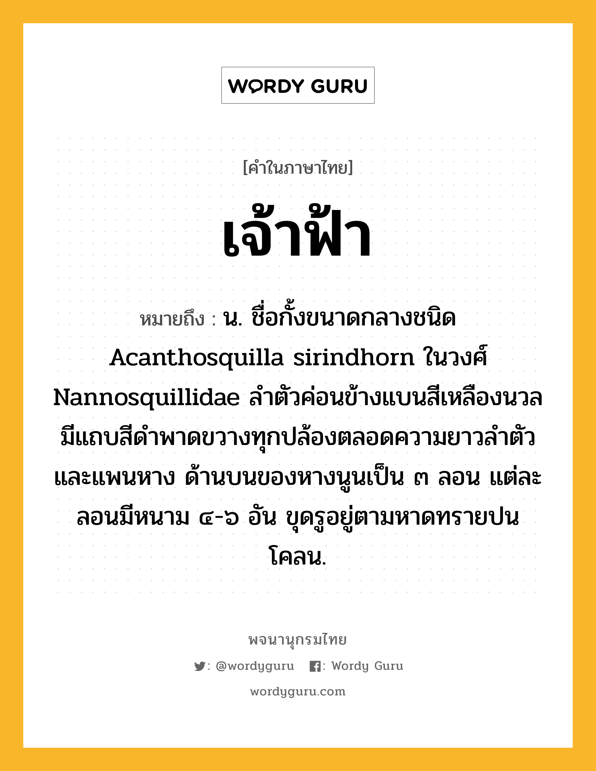 เจ้าฟ้า หมายถึงอะไร?, คำในภาษาไทย เจ้าฟ้า หมายถึง น. ชื่อกั้งขนาดกลางชนิด Acanthosquilla sirindhorn ในวงศ์ Nannosquillidae ลำตัวค่อนข้างแบนสีเหลืองนวล มีแถบสีดำพาดขวางทุกปล้องตลอดความยาวลำตัวและแพนหาง ด้านบนของหางนูนเป็น ๓ ลอน แต่ละลอนมีหนาม ๔-๖ อัน ขุดรูอยู่ตามหาดทรายปนโคลน.