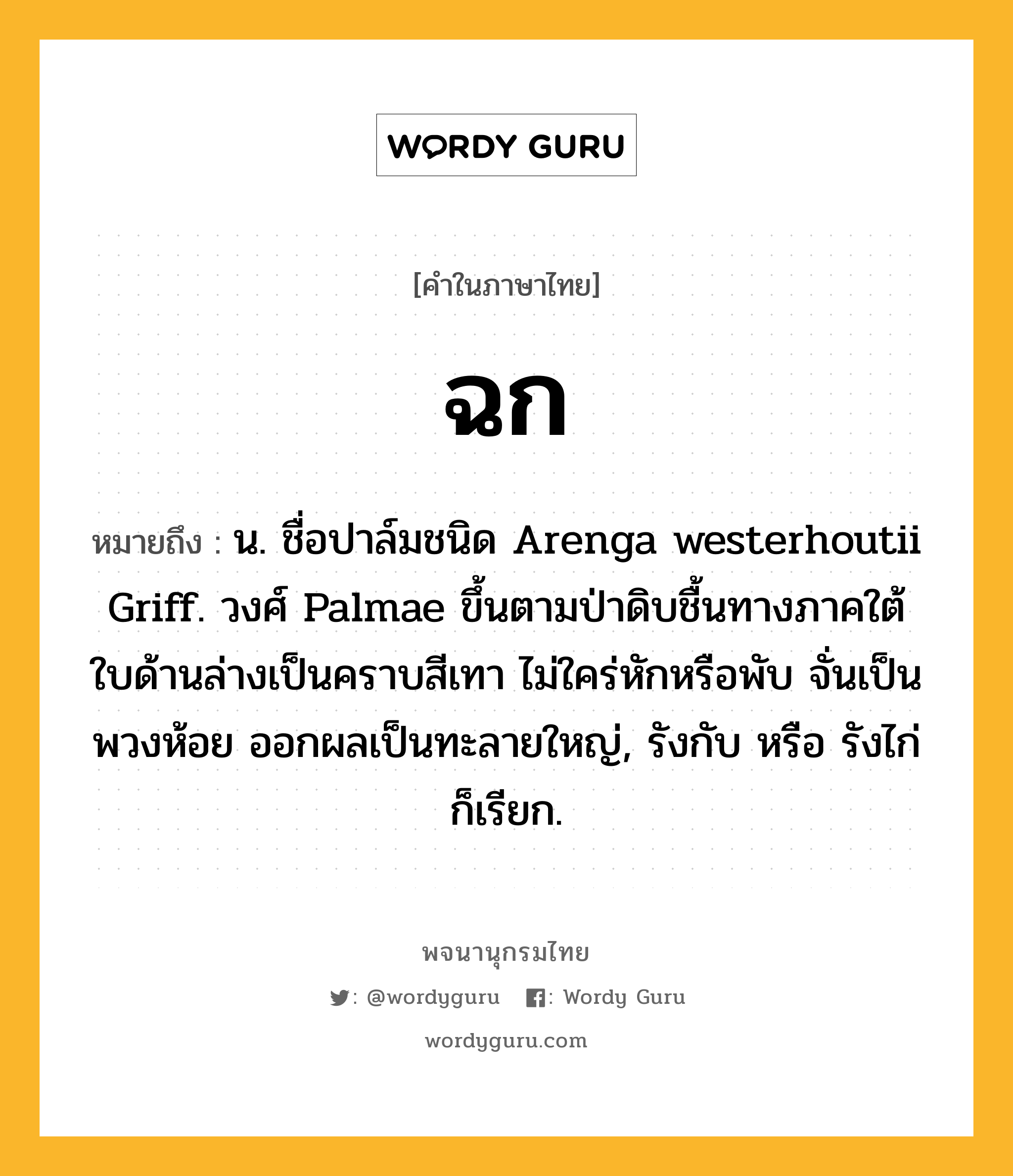 ฉก หมายถึงอะไร?, คำในภาษาไทย ฉก หมายถึง น. ชื่อปาล์มชนิด Arenga westerhoutii Griff. วงศ์ Palmae ขึ้นตามป่าดิบชื้นทางภาคใต้ ใบด้านล่างเป็นคราบสีเทา ไม่ใคร่หักหรือพับ จั่นเป็นพวงห้อย ออกผลเป็นทะลายใหญ่, รังกับ หรือ รังไก่ ก็เรียก.