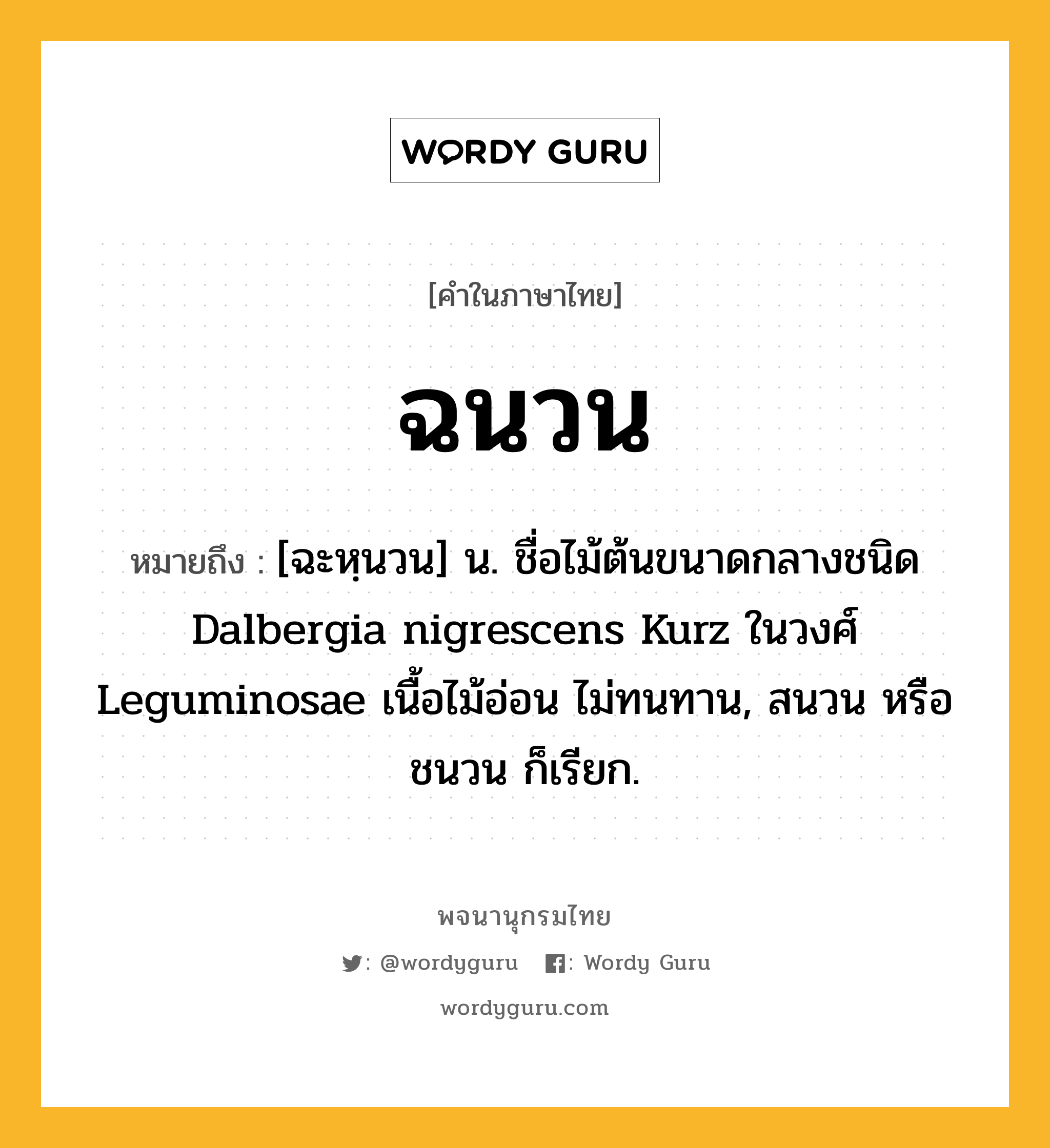 ฉนวน หมายถึงอะไร?, คำในภาษาไทย ฉนวน หมายถึง [ฉะหฺนวน] น. ชื่อไม้ต้นขนาดกลางชนิด Dalbergia nigrescens Kurz ในวงศ์ Leguminosae เนื้อไม้อ่อน ไม่ทนทาน, สนวน หรือ ชนวน ก็เรียก.