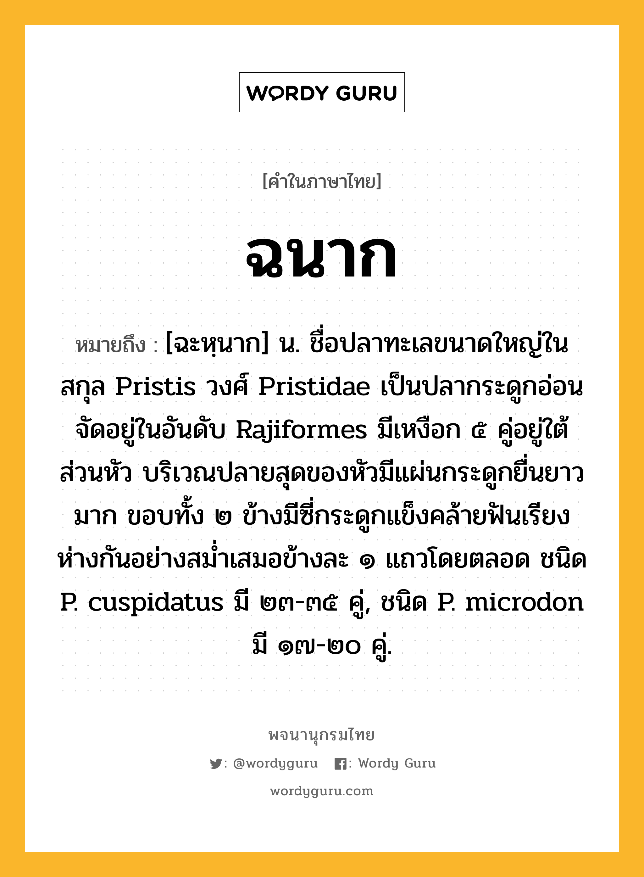 ฉนาก หมายถึงอะไร?, คำในภาษาไทย ฉนาก หมายถึง [ฉะหฺนาก] น. ชื่อปลาทะเลขนาดใหญ่ในสกุล Pristis วงศ์ Pristidae เป็นปลากระดูกอ่อน จัดอยู่ในอันดับ Rajiformes มีเหงือก ๕ คู่อยู่ใต้ส่วนหัว บริเวณปลายสุดของหัวมีแผ่นกระดูกยื่นยาวมาก ขอบทั้ง ๒ ข้างมีซี่กระดูกแข็งคล้ายฟันเรียงห่างกันอย่างสมํ่าเสมอข้างละ ๑ แถวโดยตลอด ชนิด P. cuspidatus มี ๒๓-๓๕ คู่, ชนิด P. microdon มี ๑๗-๒๐ คู่.