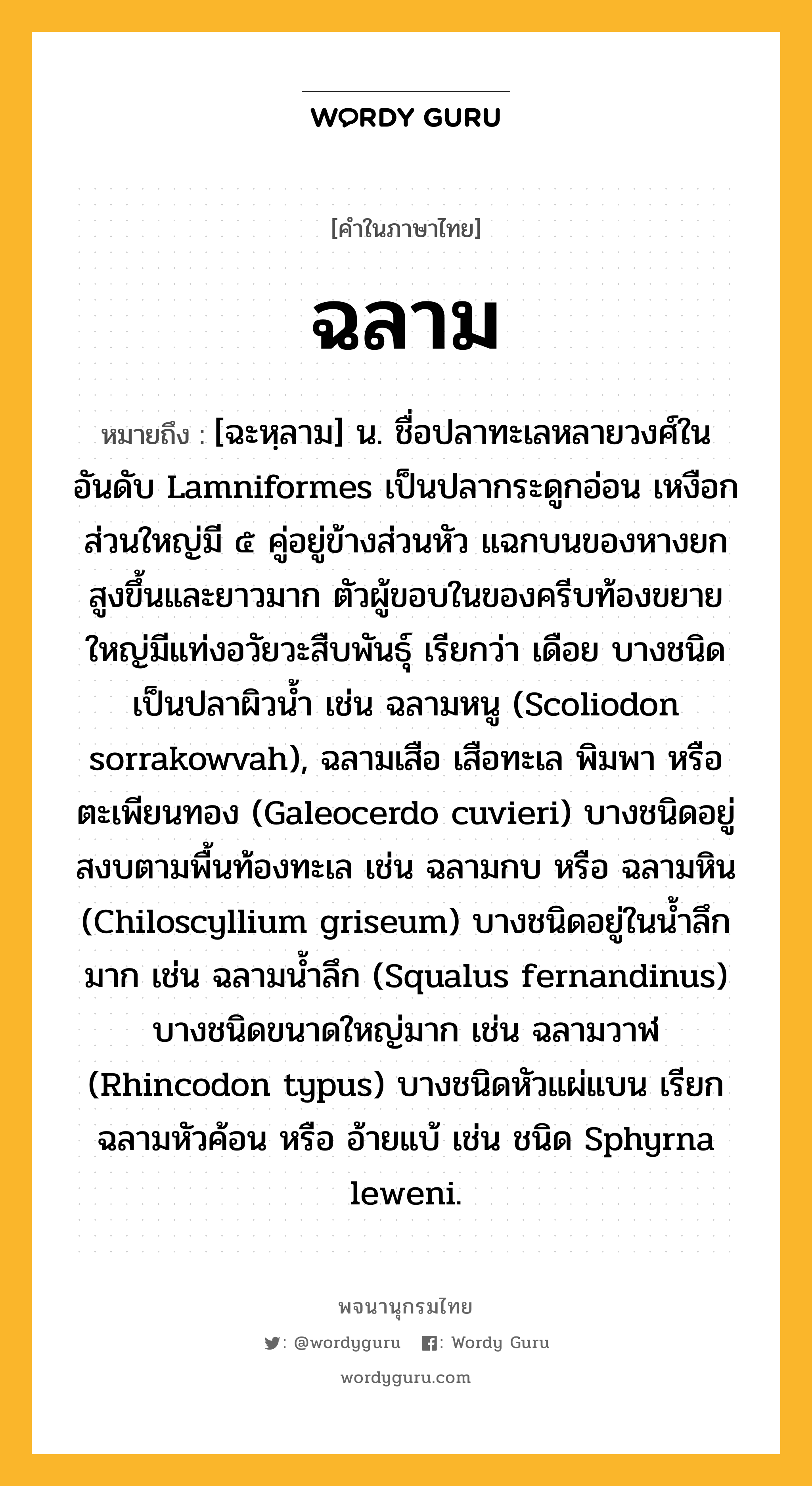 ฉลาม ความหมาย หมายถึงอะไร?, คำในภาษาไทย ฉลาม หมายถึง [ฉะหฺลาม] น. ชื่อปลาทะเลหลายวงศ์ในอันดับ Lamniformes เป็นปลากระดูกอ่อน เหงือกส่วนใหญ่มี ๕ คู่อยู่ข้างส่วนหัว แฉกบนของหางยกสูงขึ้นและยาวมาก ตัวผู้ขอบในของครีบท้องขยายใหญ่มีแท่งอวัยวะสืบพันธุ์ เรียกว่า เดือย บางชนิดเป็นปลาผิวนํ้า เช่น ฉลามหนู (Scoliodon sorrakowvah), ฉลามเสือ เสือทะเล พิมพา หรือ ตะเพียนทอง (Galeocerdo cuvieri) บางชนิดอยู่สงบตามพื้นท้องทะเล เช่น ฉลามกบ หรือ ฉลามหิน (Chiloscyllium griseum) บางชนิดอยู่ในนํ้าลึกมาก เช่น ฉลามนํ้าลึก (Squalus fernandinus) บางชนิดขนาดใหญ่มาก เช่น ฉลามวาฬ (Rhincodon typus) บางชนิดหัวแผ่แบน เรียก ฉลามหัวค้อน หรือ อ้ายแบ้ เช่น ชนิด Sphyrna leweni.