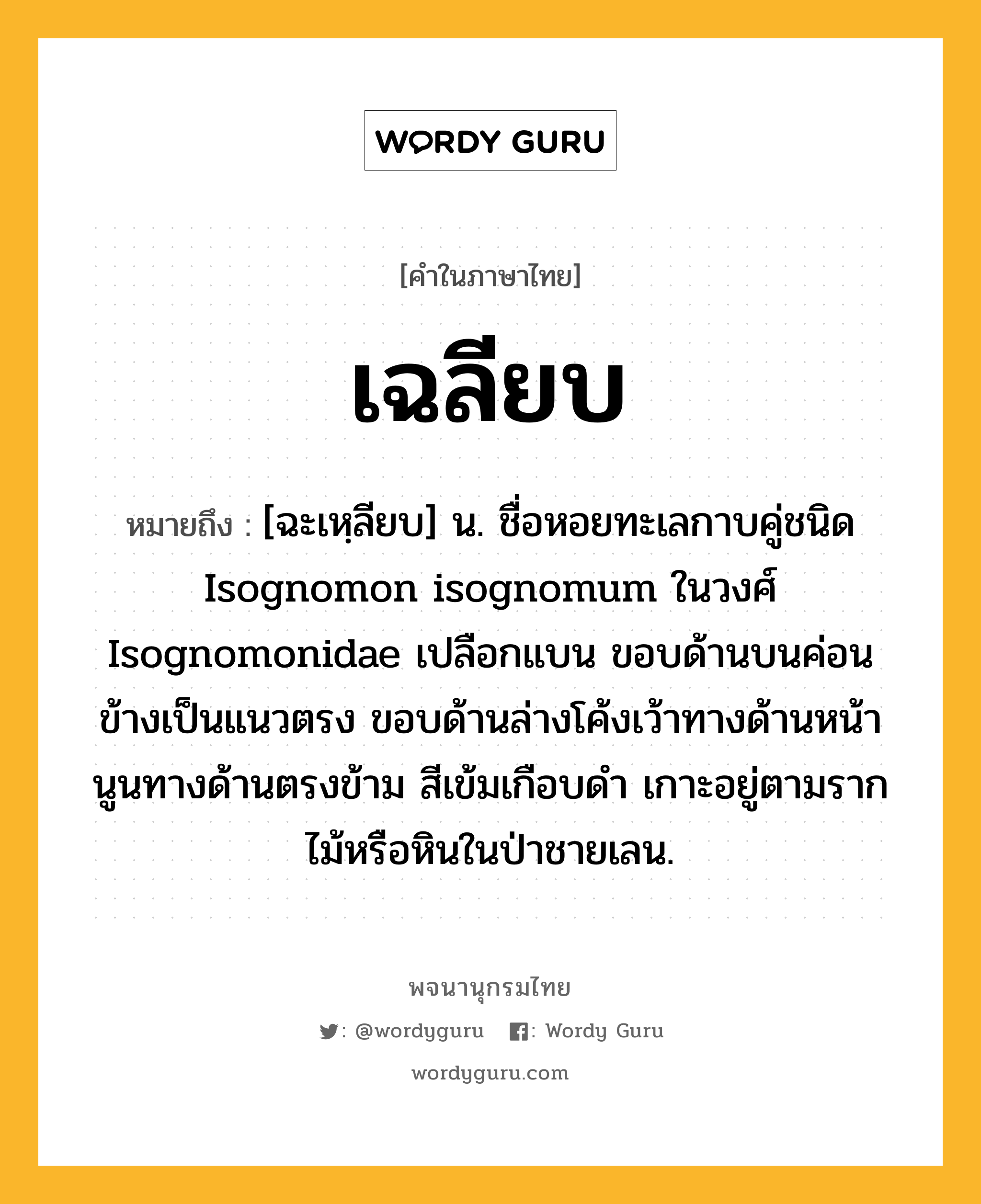 เฉลียบ หมายถึงอะไร?, คำในภาษาไทย เฉลียบ หมายถึง [ฉะเหฺลียบ] น. ชื่อหอยทะเลกาบคู่ชนิด Isognomon isognomum ในวงศ์ Isognomonidae เปลือกแบน ขอบด้านบนค่อนข้างเป็นแนวตรง ขอบด้านล่างโค้งเว้าทางด้านหน้า นูนทางด้านตรงข้าม สีเข้มเกือบดำ เกาะอยู่ตามรากไม้หรือหินในป่าชายเลน.