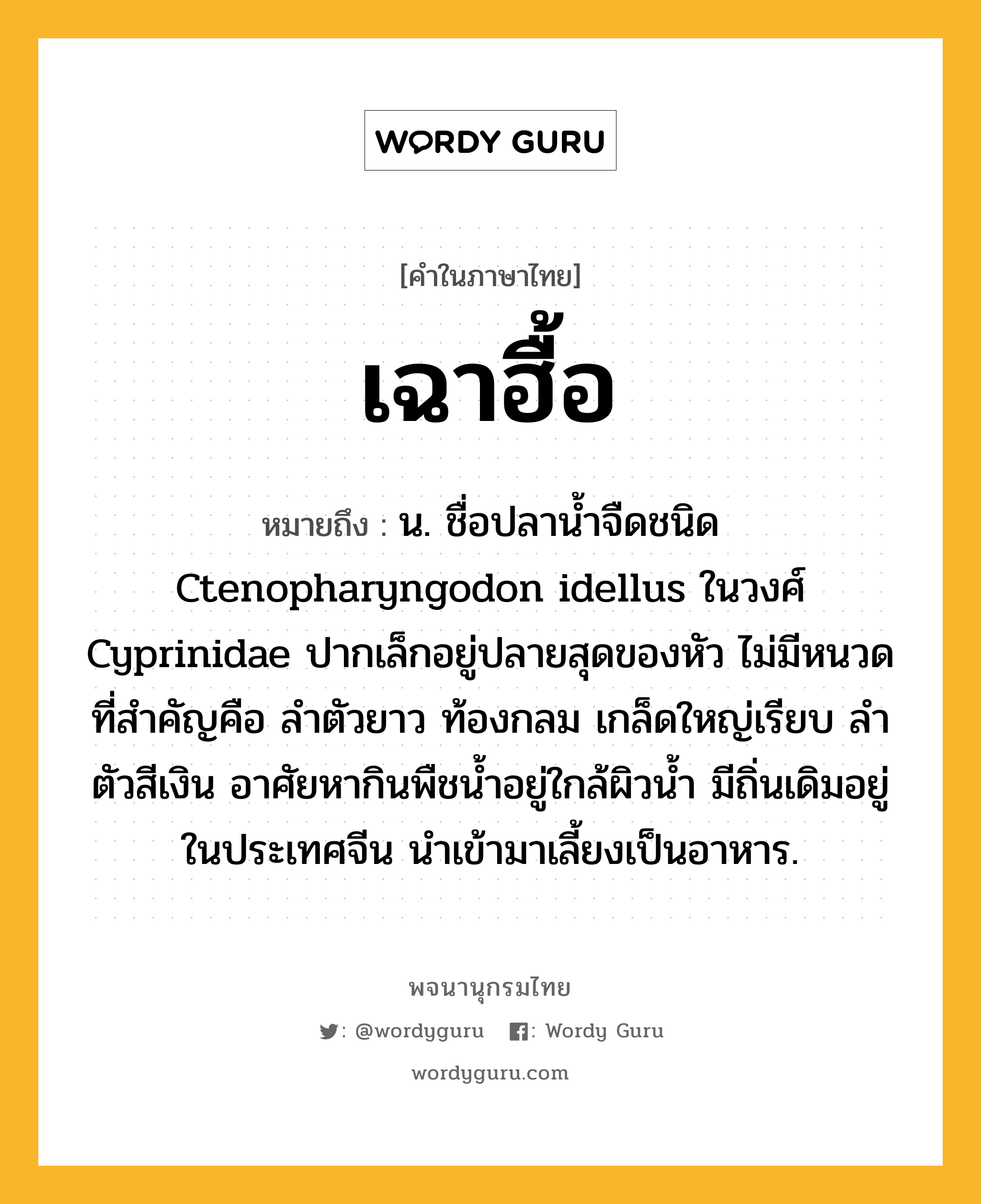 เฉาฮื้อ หมายถึงอะไร?, คำในภาษาไทย เฉาฮื้อ หมายถึง น. ชื่อปลานํ้าจืดชนิด Ctenopharyngodon idellus ในวงศ์ Cyprinidae ปากเล็กอยู่ปลายสุดของหัว ไม่มีหนวด ที่สําคัญคือ ลําตัวยาว ท้องกลม เกล็ดใหญ่เรียบ ลําตัวสีเงิน อาศัยหากินพืชนํ้าอยู่ใกล้ผิวนํ้า มีถิ่นเดิมอยู่ในประเทศจีน นําเข้ามาเลี้ยงเป็นอาหาร.