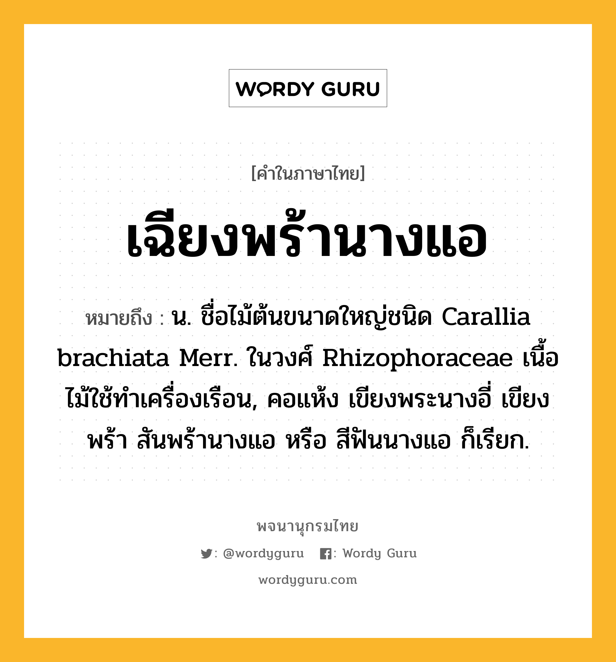 เฉียงพร้านางแอ หมายถึงอะไร?, คำในภาษาไทย เฉียงพร้านางแอ หมายถึง น. ชื่อไม้ต้นขนาดใหญ่ชนิด Carallia brachiata Merr. ในวงศ์ Rhizophoraceae เนื้อไม้ใช้ทําเครื่องเรือน, คอแห้ง เขียงพระนางอี่ เขียงพร้า สันพร้านางแอ หรือ สีฟันนางแอ ก็เรียก.