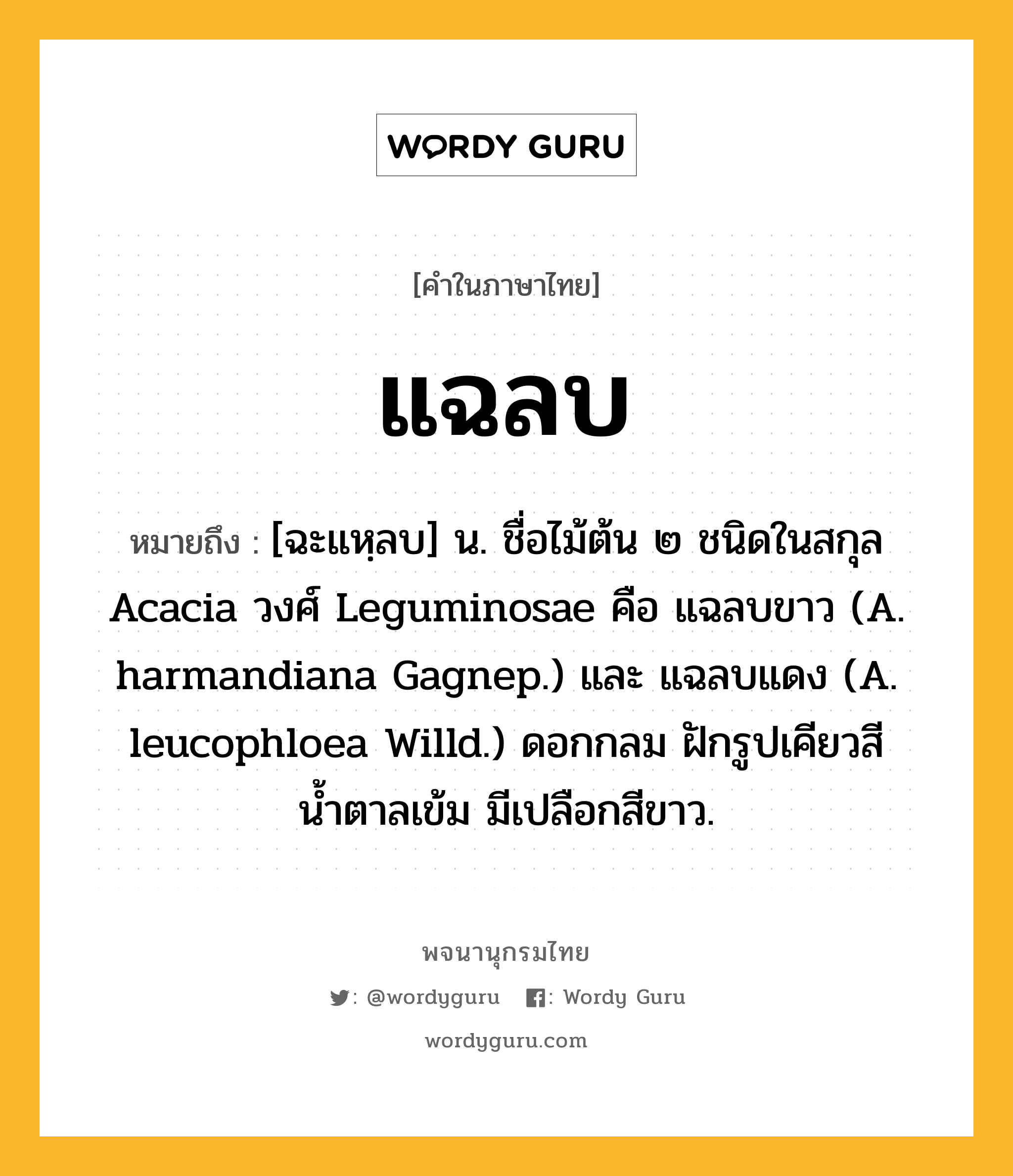 แฉลบ หมายถึงอะไร?, คำในภาษาไทย แฉลบ หมายถึง [ฉะแหฺลบ] น. ชื่อไม้ต้น ๒ ชนิดในสกุล Acacia วงศ์ Leguminosae คือ แฉลบขาว (A. harmandiana Gagnep.) และ แฉลบแดง (A. leucophloea Willd.) ดอกกลม ฝักรูปเคียวสีน้ำตาลเข้ม มีเปลือกสีขาว.