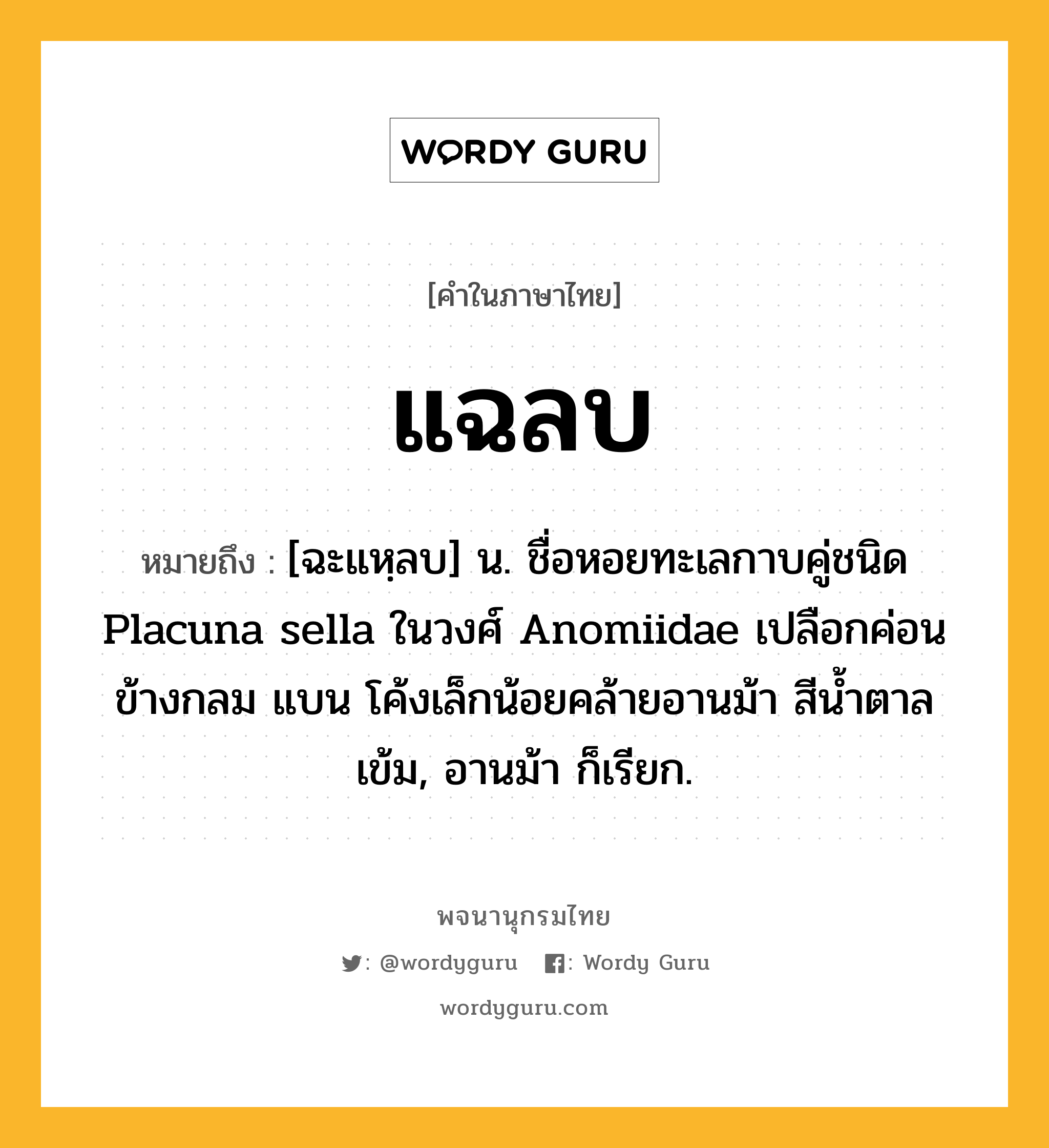 แฉลบ หมายถึงอะไร?, คำในภาษาไทย แฉลบ หมายถึง [ฉะแหฺลบ] น. ชื่อหอยทะเลกาบคู่ชนิด Placuna sella ในวงศ์ Anomiidae เปลือกค่อนข้างกลม แบน โค้งเล็กน้อยคล้ายอานม้า สีนํ้าตาลเข้ม, อานม้า ก็เรียก.