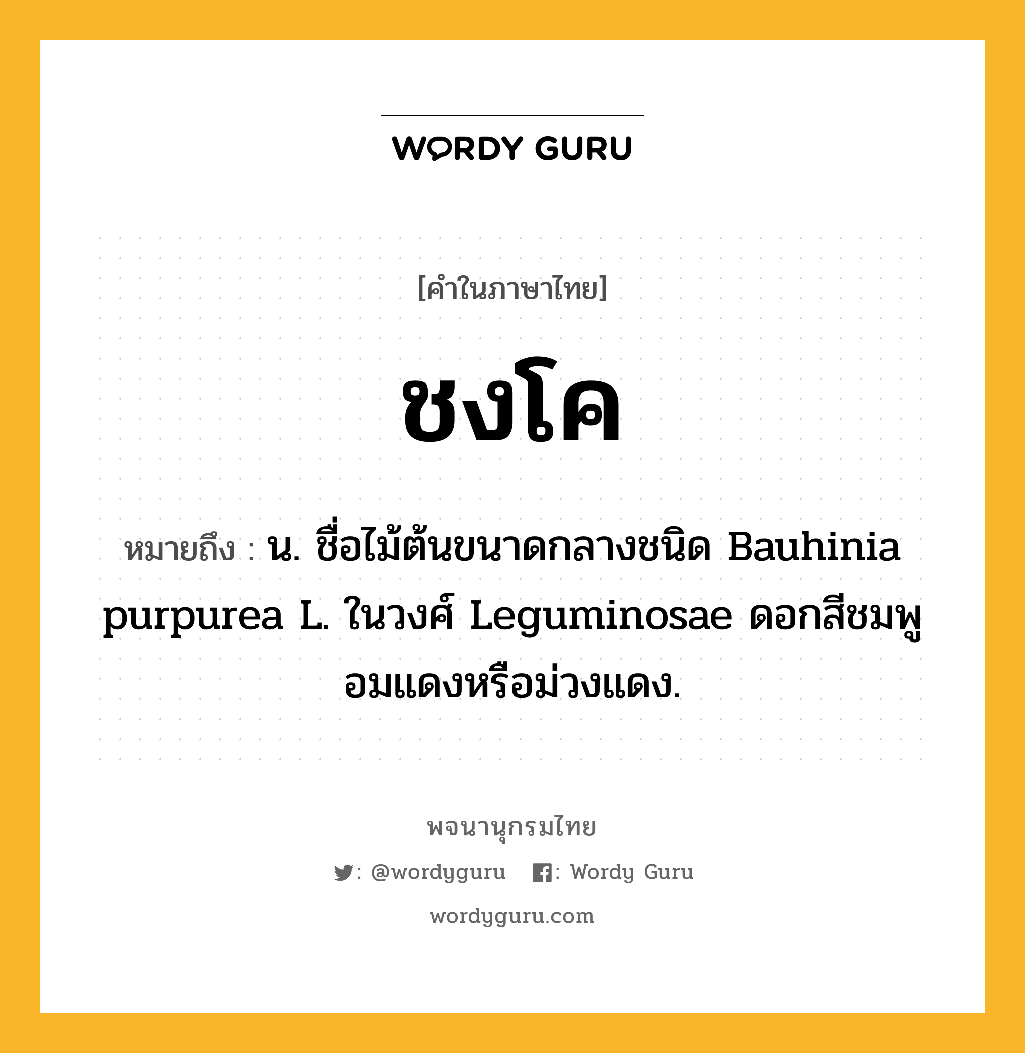 ชงโค หมายถึงอะไร?, คำในภาษาไทย ชงโค หมายถึง น. ชื่อไม้ต้นขนาดกลางชนิด Bauhinia purpurea L. ในวงศ์ Leguminosae ดอกสีชมพูอมแดงหรือม่วงแดง.