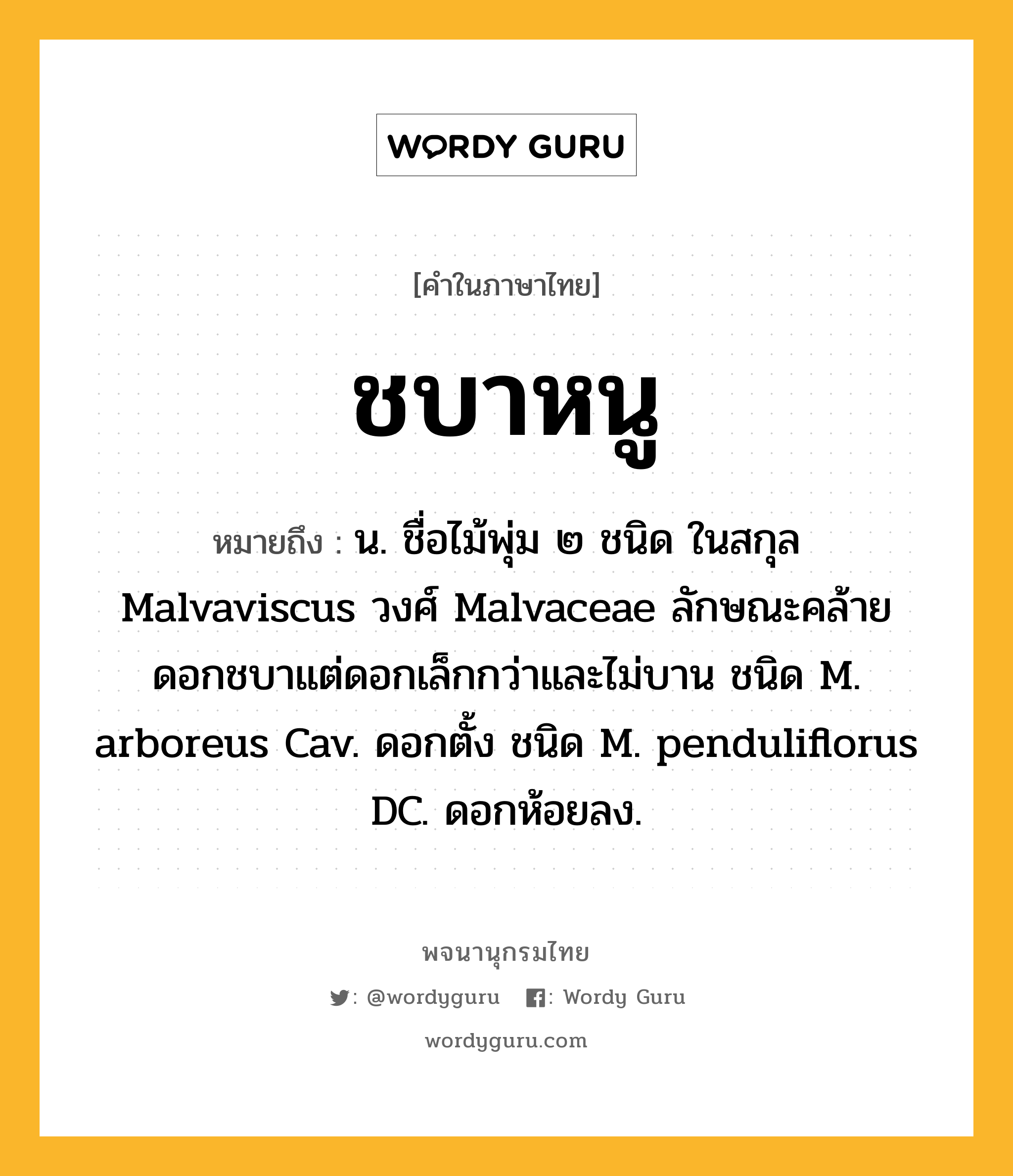 ชบาหนู หมายถึงอะไร?, คำในภาษาไทย ชบาหนู หมายถึง น. ชื่อไม้พุ่ม ๒ ชนิด ในสกุล Malvaviscus วงศ์ Malvaceae ลักษณะคล้ายดอกชบาแต่ดอกเล็กกว่าและไม่บาน ชนิด M. arboreus Cav. ดอกตั้ง ชนิด M. penduliflorus DC. ดอกห้อยลง.