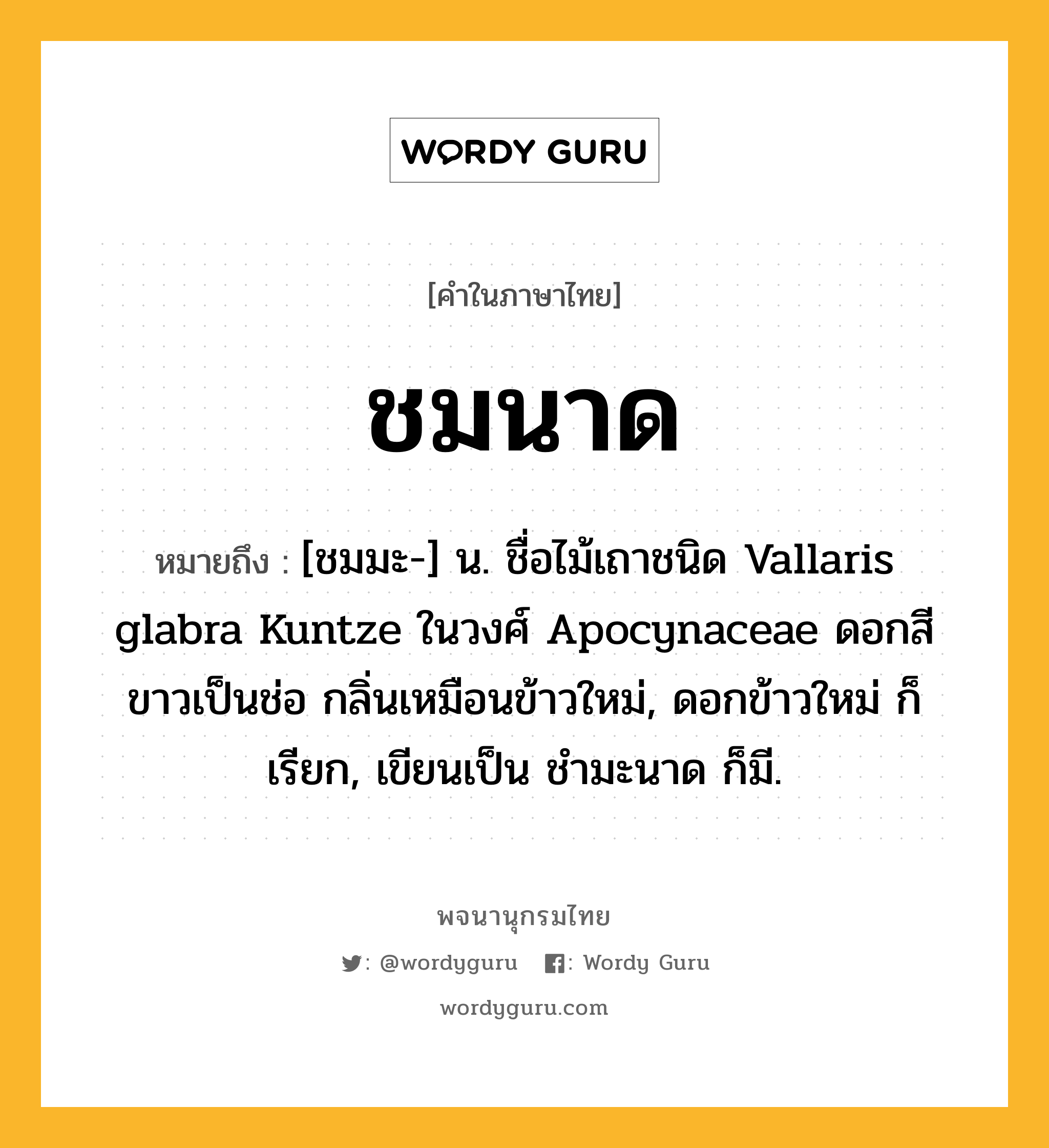 ชมนาด หมายถึงอะไร?, คำในภาษาไทย ชมนาด หมายถึง [ชมมะ-] น. ชื่อไม้เถาชนิด Vallaris glabra Kuntze ในวงศ์ Apocynaceae ดอกสีขาวเป็นช่อ กลิ่นเหมือนข้าวใหม่, ดอกข้าวใหม่ ก็เรียก, เขียนเป็น ชํามะนาด ก็มี.