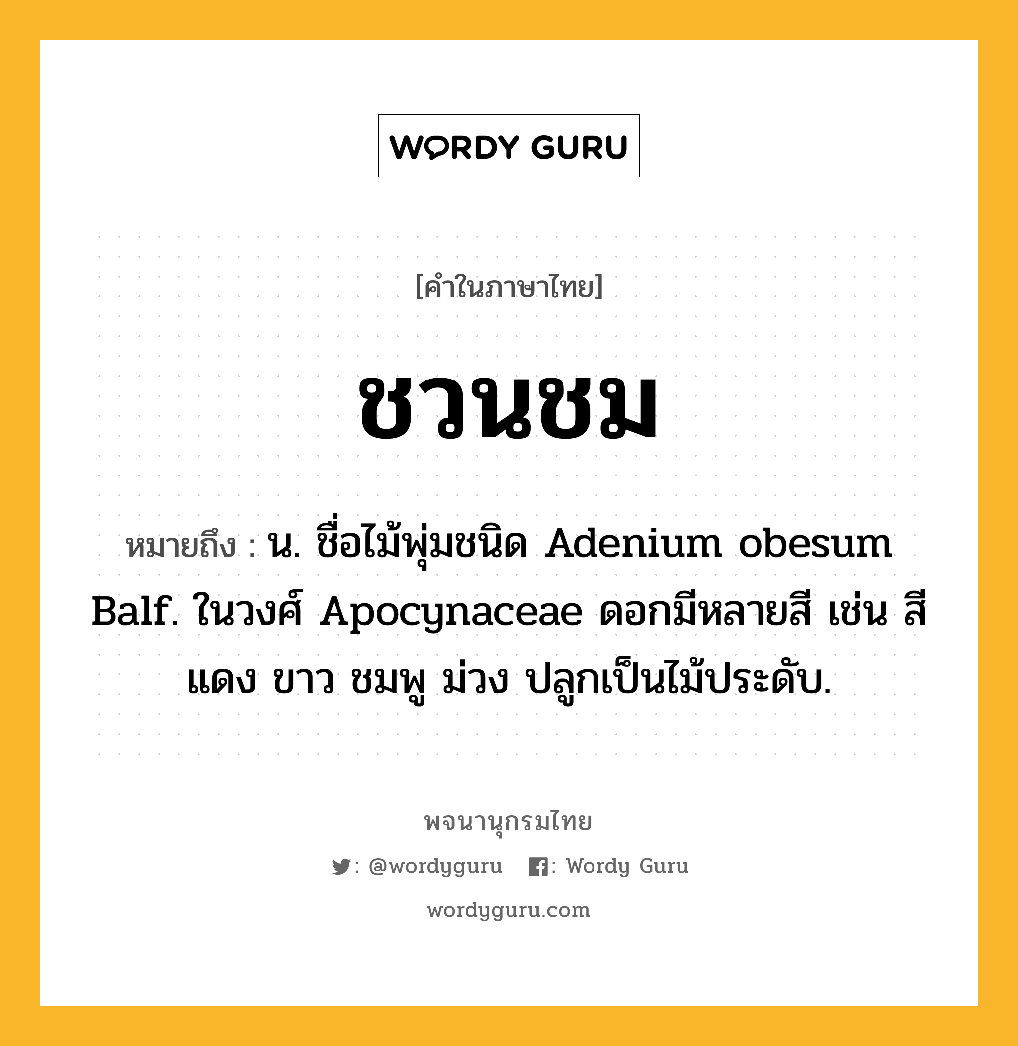 ชวนชม หมายถึงอะไร?, คำในภาษาไทย ชวนชม หมายถึง น. ชื่อไม้พุ่มชนิด Adenium obesum Balf. ในวงศ์ Apocynaceae ดอกมีหลายสี เช่น สีแดง ขาว ชมพู ม่วง ปลูกเป็นไม้ประดับ.