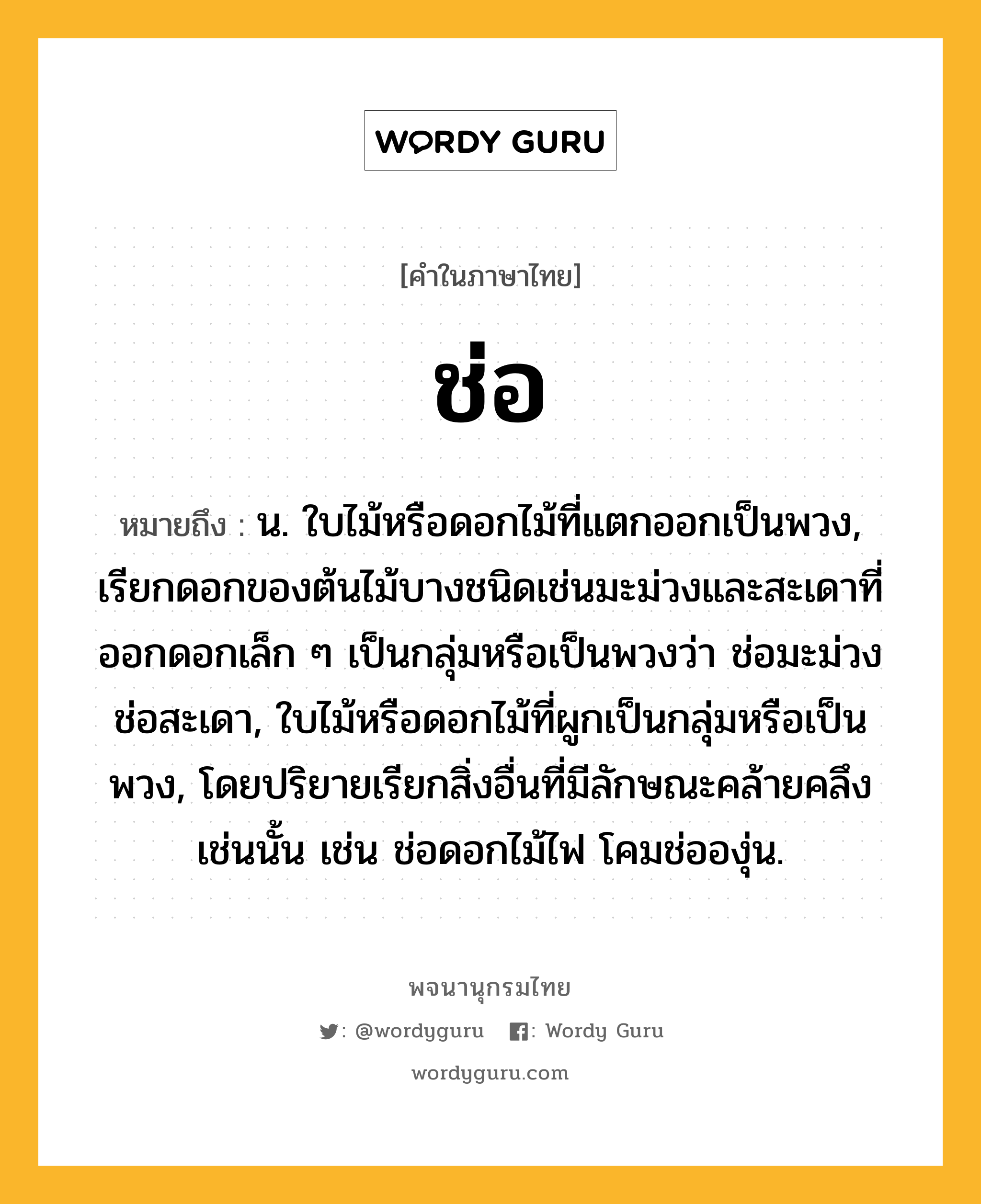 ช่อ หมายถึงอะไร?, คำในภาษาไทย ช่อ หมายถึง น. ใบไม้หรือดอกไม้ที่แตกออกเป็นพวง, เรียกดอกของต้นไม้บางชนิดเช่นมะม่วงและสะเดาที่ออกดอกเล็ก ๆ เป็นกลุ่มหรือเป็นพวงว่า ช่อมะม่วง ช่อสะเดา, ใบไม้หรือดอกไม้ที่ผูกเป็นกลุ่มหรือเป็นพวง, โดยปริยายเรียกสิ่งอื่นที่มีลักษณะคล้ายคลึงเช่นนั้น เช่น ช่อดอกไม้ไฟ โคมช่อองุ่น.