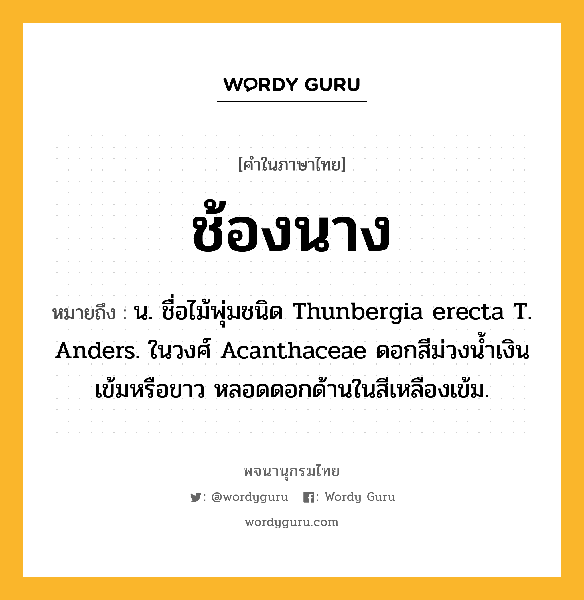 ช้องนาง ความหมาย หมายถึงอะไร?, คำในภาษาไทย ช้องนาง หมายถึง น. ชื่อไม้พุ่มชนิด Thunbergia erecta T. Anders. ในวงศ์ Acanthaceae ดอกสีม่วงนํ้าเงินเข้มหรือขาว หลอดดอกด้านในสีเหลืองเข้ม.