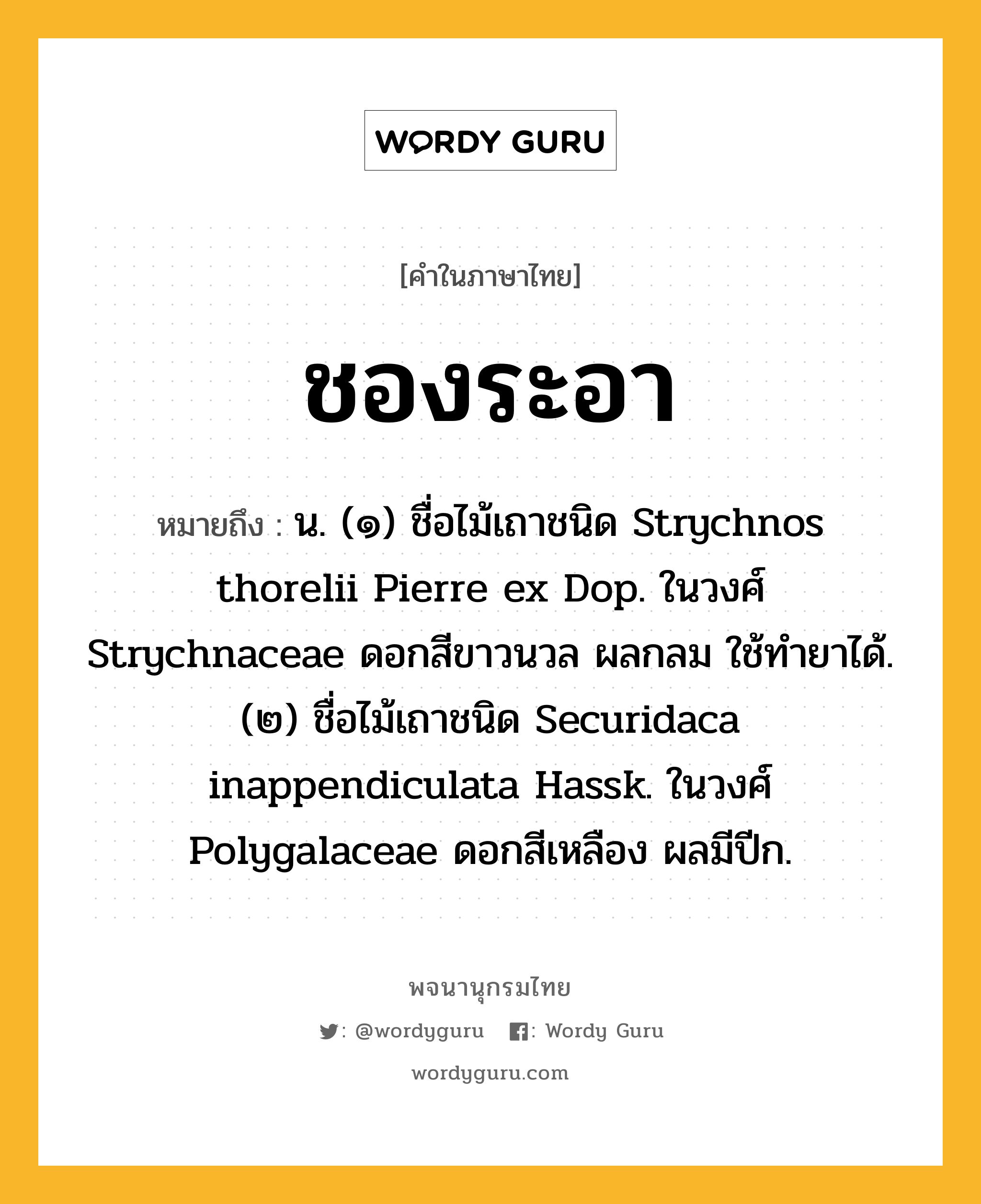 ชองระอา หมายถึงอะไร?, คำในภาษาไทย ชองระอา หมายถึง น. (๑) ชื่อไม้เถาชนิด Strychnos thorelii Pierre ex Dop. ในวงศ์ Strychnaceae ดอกสีขาวนวล ผลกลม ใช้ทํายาได้. (๒) ชื่อไม้เถาชนิด Securidaca inappendiculata Hassk. ในวงศ์ Polygalaceae ดอกสีเหลือง ผลมีปีก.