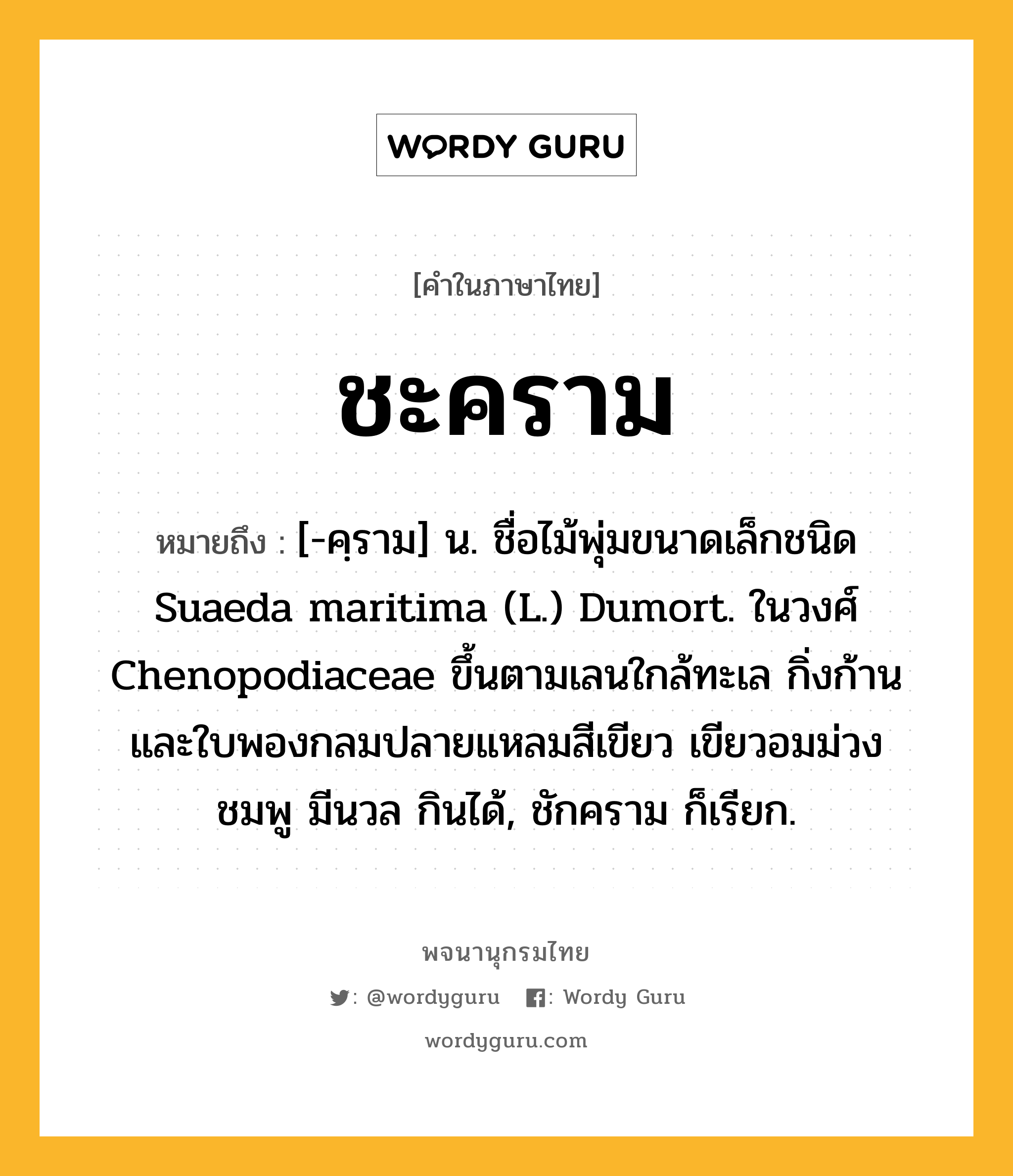 ชะคราม หมายถึงอะไร?, คำในภาษาไทย ชะคราม หมายถึง [-คฺราม] น. ชื่อไม้พุ่มขนาดเล็กชนิด Suaeda maritima (L.) Dumort. ในวงศ์ Chenopodiaceae ขึ้นตามเลนใกล้ทะเล กิ่งก้านและใบพองกลมปลายแหลมสีเขียว เขียวอมม่วง ชมพู มีนวล กินได้, ชักคราม ก็เรียก.