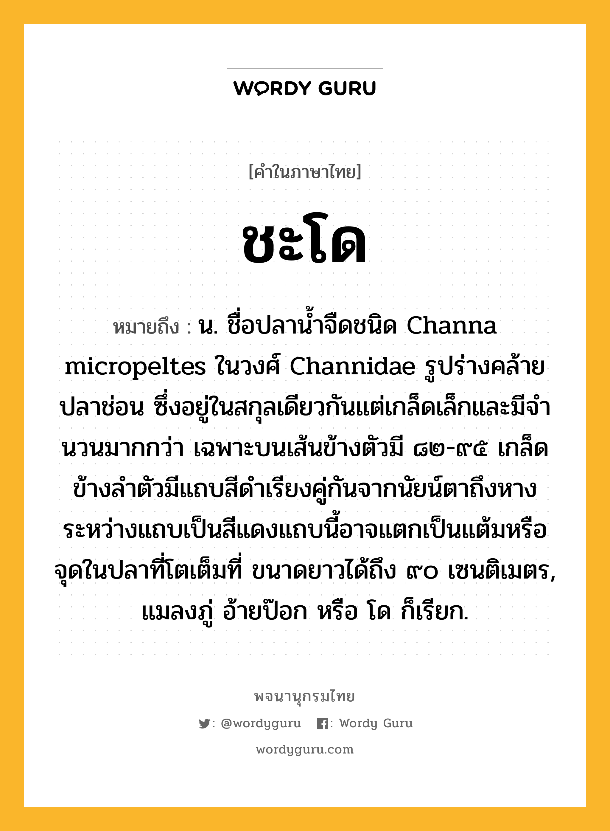 ชะโด หมายถึงอะไร?, คำในภาษาไทย ชะโด หมายถึง น. ชื่อปลานํ้าจืดชนิด Channa micropeltes ในวงศ์ Channidae รูปร่างคล้ายปลาช่อน ซึ่งอยู่ในสกุลเดียวกันแต่เกล็ดเล็กและมีจํานวนมากกว่า เฉพาะบนเส้นข้างตัวมี ๘๒-๙๕ เกล็ด ข้างลําตัวมีแถบสีดําเรียงคู่กันจากนัยน์ตาถึงหาง ระหว่างแถบเป็นสีแดงแถบนี้อาจแตกเป็นแต้มหรือจุดในปลาที่โตเต็มที่ ขนาดยาวได้ถึง ๙๐ เซนติเมตร, แมลงภู่ อ้ายป๊อก หรือ โด ก็เรียก.