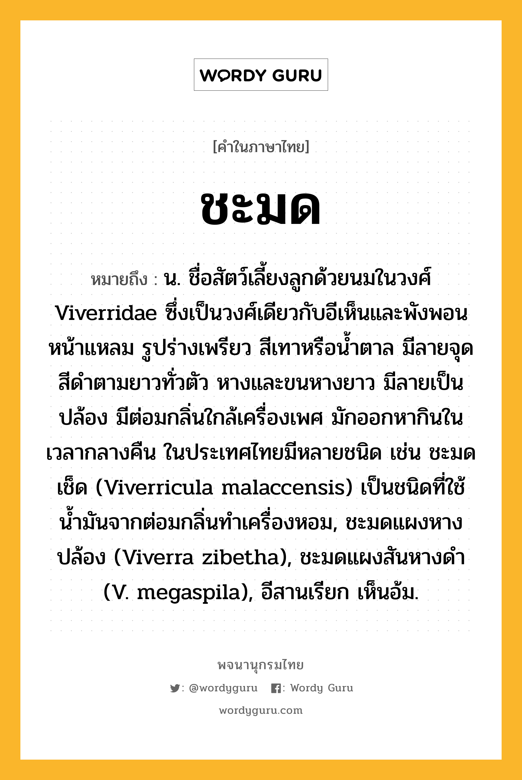 ชะมด หมายถึงอะไร?, คำในภาษาไทย ชะมด หมายถึง น. ชื่อสัตว์เลี้ยงลูกด้วยนมในวงศ์ Viverridae ซึ่งเป็นวงศ์เดียวกับอีเห็นและพังพอน หน้าแหลม รูปร่างเพรียว สีเทาหรือนํ้าตาล มีลายจุดสีดําตามยาวทั่วตัว หางและขนหางยาว มีลายเป็นปล้อง มีต่อมกลิ่นใกล้เครื่องเพศ มักออกหากินในเวลากลางคืน ในประเทศไทยมีหลายชนิด เช่น ชะมดเช็ด (Viverricula malaccensis) เป็นชนิดที่ใช้นํ้ามันจากต่อมกลิ่นทําเครื่องหอม, ชะมดแผงหางปล้อง (Viverra zibetha), ชะมดแผงสันหางดํา (V. megaspila), อีสานเรียก เห็นอ้ม.