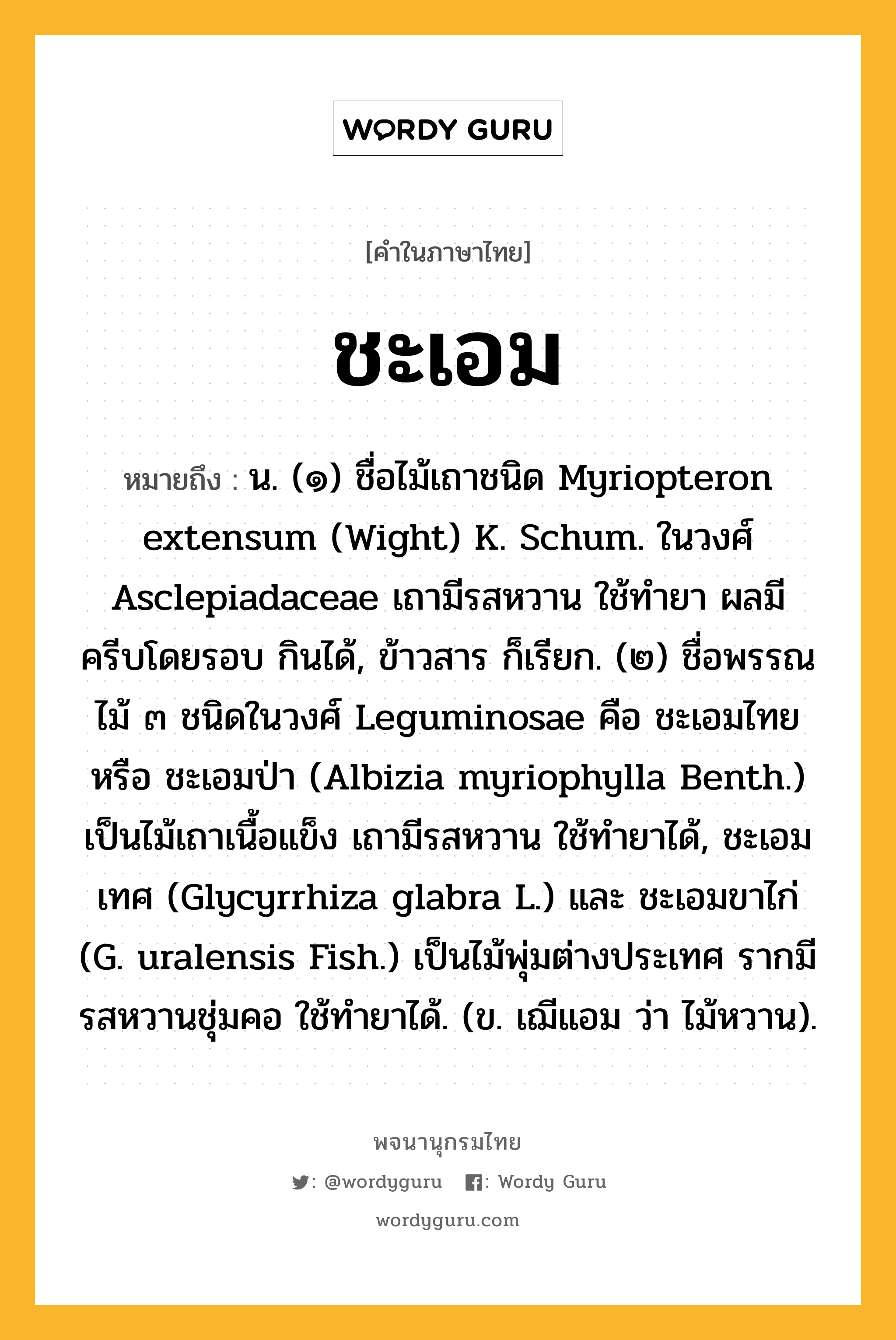 ชะเอม หมายถึงอะไร?, คำในภาษาไทย ชะเอม หมายถึง น. (๑) ชื่อไม้เถาชนิด Myriopteron extensum (Wight) K. Schum. ในวงศ์ Asclepiadaceae เถามีรสหวาน ใช้ทํายา ผลมีครีบโดยรอบ กินได้, ข้าวสาร ก็เรียก. (๒) ชื่อพรรณไม้ ๓ ชนิดในวงศ์ Leguminosae คือ ชะเอมไทย หรือ ชะเอมป่า (Albizia myriophylla Benth.) เป็นไม้เถาเนื้อแข็ง เถามีรสหวาน ใช้ทํายาได้, ชะเอมเทศ (Glycyrrhiza glabra L.) และ ชะเอมขาไก่ (G. uralensis Fish.) เป็นไม้พุ่มต่างประเทศ รากมีรสหวานชุ่มคอ ใช้ทํายาได้. (ข. เฌีแอม ว่า ไม้หวาน).