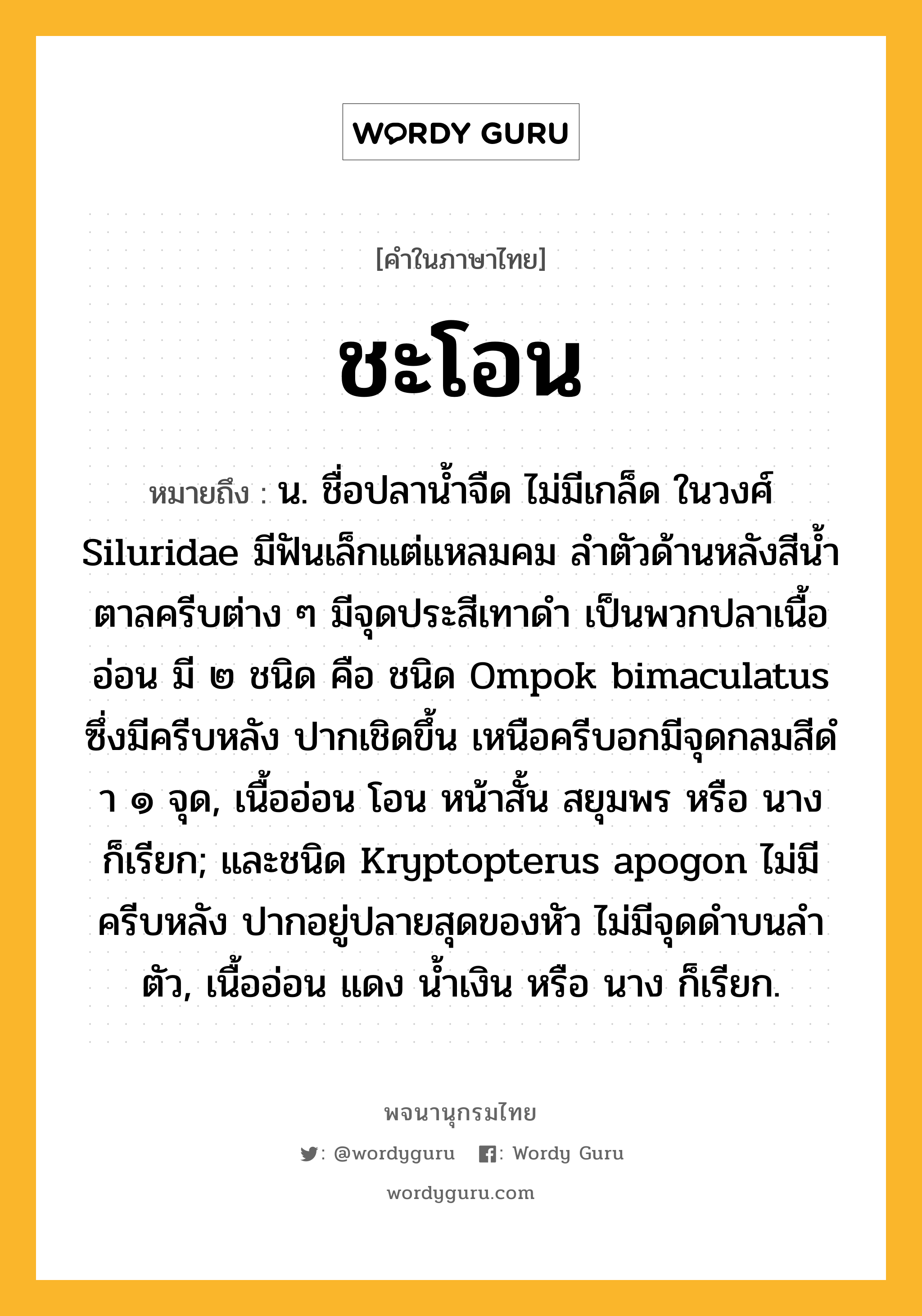 ชะโอน ความหมาย หมายถึงอะไร?, คำในภาษาไทย ชะโอน หมายถึง น. ชื่อปลานํ้าจืด ไม่มีเกล็ด ในวงศ์ Siluridae มีฟันเล็กแต่แหลมคม ลําตัวด้านหลังสีนํ้าตาลครีบต่าง ๆ มีจุดประสีเทาดํา เป็นพวกปลาเนื้ออ่อน มี ๒ ชนิด คือ ชนิด Ompok bimaculatus ซึ่งมีครีบหลัง ปากเชิดขึ้น เหนือครีบอกมีจุดกลมสีดํา ๑ จุด, เนื้ออ่อน โอน หน้าสั้น สยุมพร หรือ นาง ก็เรียก; และชนิด Kryptopterus apogon ไม่มีครีบหลัง ปากอยู่ปลายสุดของหัว ไม่มีจุดดําบนลําตัว, เนื้ออ่อน แดง นํ้าเงิน หรือ นาง ก็เรียก.