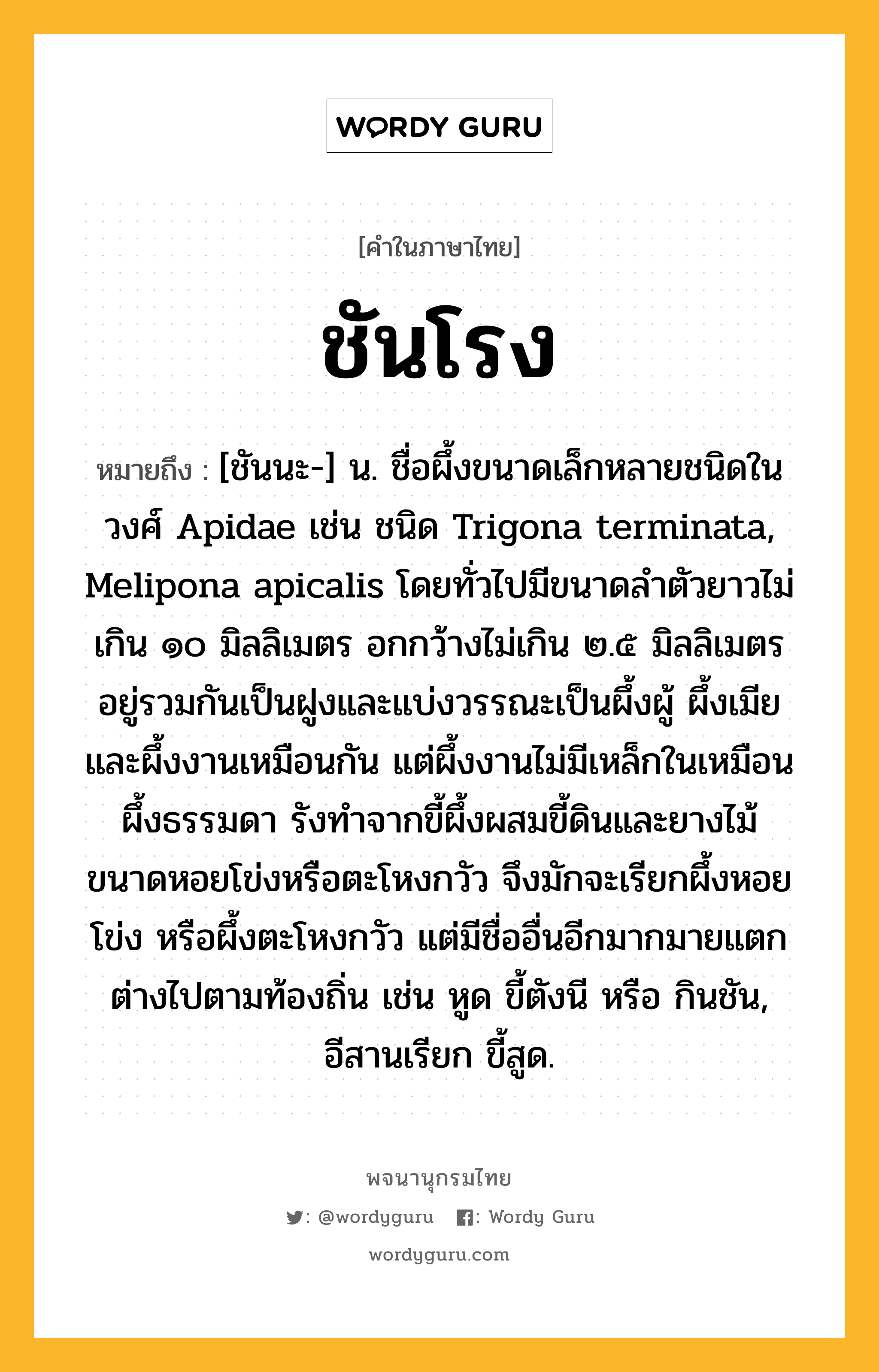 ชันโรง หมายถึงอะไร?, คำในภาษาไทย ชันโรง หมายถึง [ชันนะ-] น. ชื่อผึ้งขนาดเล็กหลายชนิดในวงศ์ Apidae เช่น ชนิด Trigona terminata, Melipona apicalis โดยทั่วไปมีขนาดลําตัวยาวไม่เกิน ๑๐ มิลลิเมตร อกกว้างไม่เกิน ๒.๕ มิลลิเมตร อยู่รวมกันเป็นฝูงและแบ่งวรรณะเป็นผึ้งผู้ ผึ้งเมีย และผึ้งงานเหมือนกัน แต่ผึ้งงานไม่มีเหล็กในเหมือนผึ้งธรรมดา รังทําจากขี้ผึ้งผสมขี้ดินและยางไม้ ขนาดหอยโข่งหรือตะโหงกวัว จึงมักจะเรียกผึ้งหอยโข่ง หรือผึ้งตะโหงกวัว แต่มีชื่ออื่นอีกมากมายแตกต่างไปตามท้องถิ่น เช่น หูด ขี้ตังนี หรือ กินชัน, อีสานเรียก ขี้สูด.