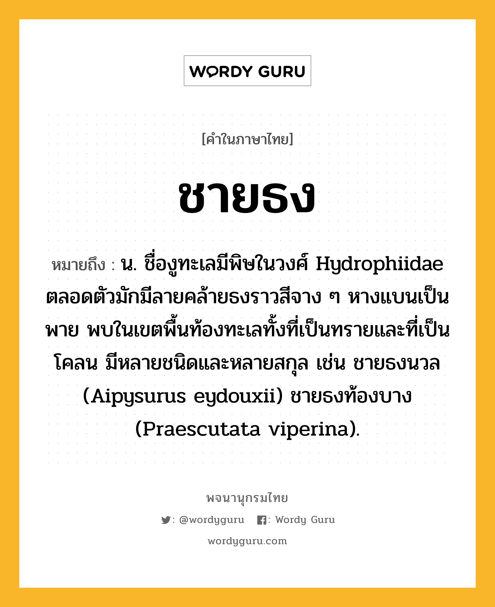 ชายธง หมายถึงอะไร?, คำในภาษาไทย ชายธง หมายถึง น. ชื่องูทะเลมีพิษในวงศ์ Hydrophiidae ตลอดตัวมักมีลายคล้ายธงราวสีจาง ๆ หางแบนเป็นพาย พบในเขตพื้นท้องทะเลทั้งที่เป็นทรายและที่เป็นโคลน มีหลายชนิดและหลายสกุล เช่น ชายธงนวล (Aipysurus eydouxii) ชายธงท้องบาง (Praescutata viperina).