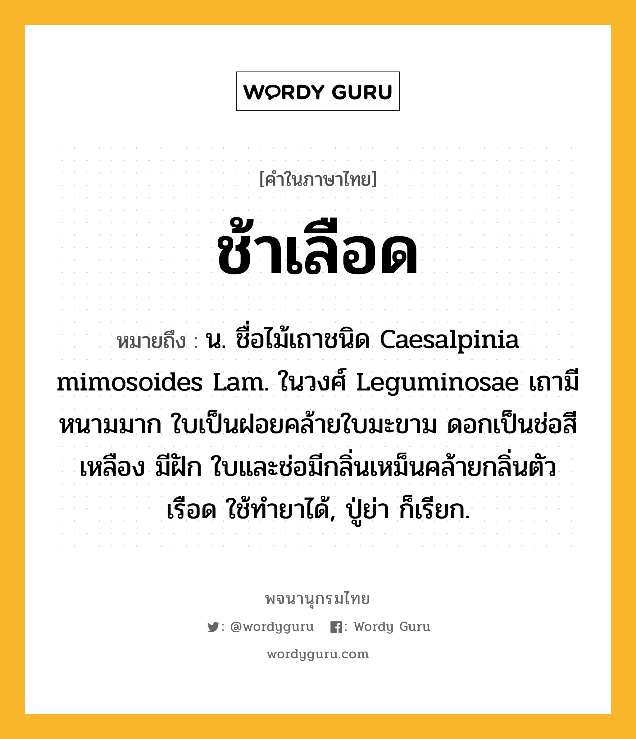 ช้าเลือด หมายถึงอะไร?, คำในภาษาไทย ช้าเลือด หมายถึง น. ชื่อไม้เถาชนิด Caesalpinia mimosoides Lam. ในวงศ์ Leguminosae เถามีหนามมาก ใบเป็นฝอยคล้ายใบมะขาม ดอกเป็นช่อสีเหลือง มีฝัก ใบและช่อมีกลิ่นเหม็นคล้ายกลิ่นตัวเรือด ใช้ทํายาได้, ปู่ย่า ก็เรียก.