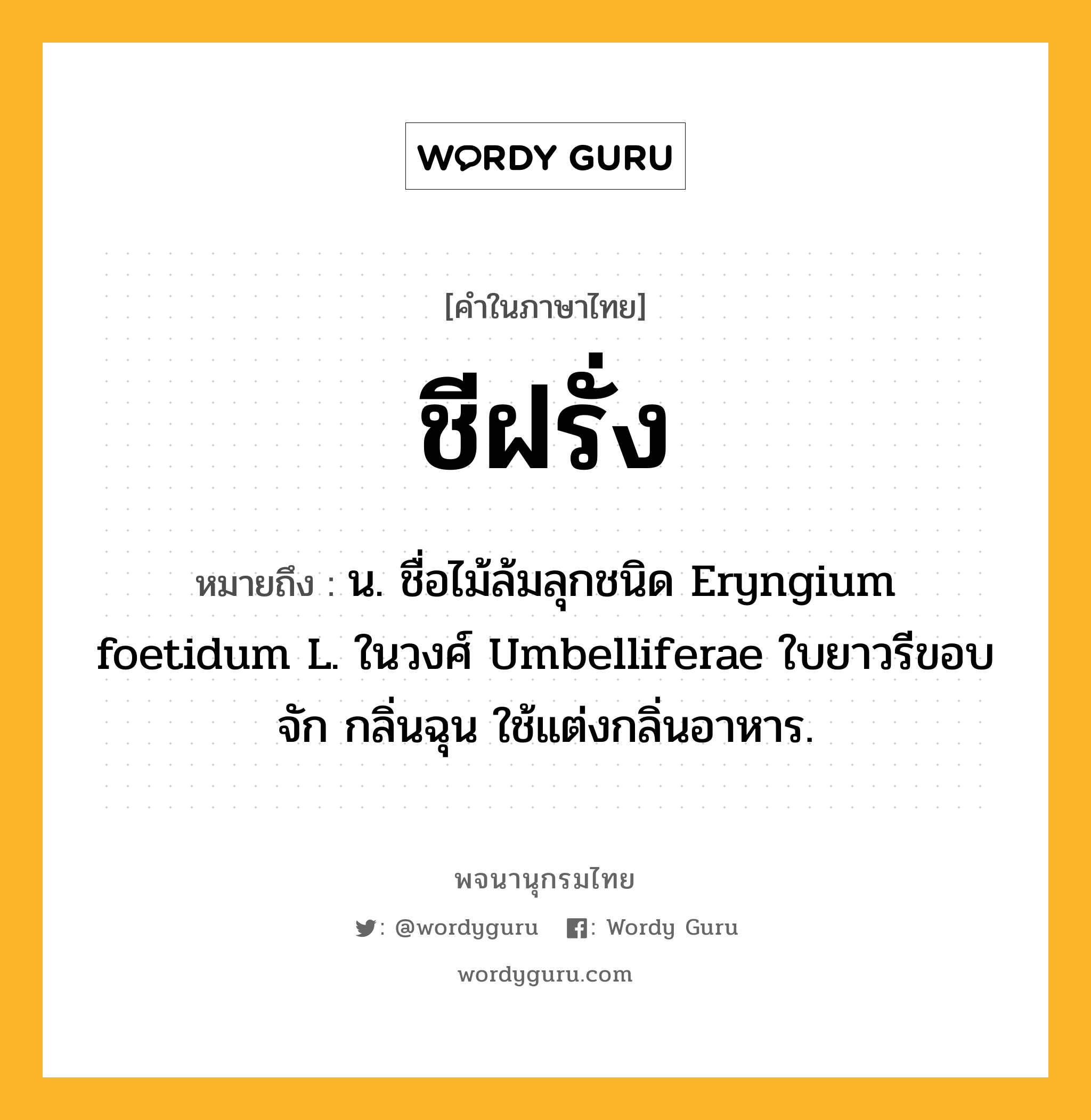 ชีฝรั่ง หมายถึงอะไร?, คำในภาษาไทย ชีฝรั่ง หมายถึง น. ชื่อไม้ล้มลุกชนิด Eryngium foetidum L. ในวงศ์ Umbelliferae ใบยาวรีขอบจัก กลิ่นฉุน ใช้แต่งกลิ่นอาหาร.