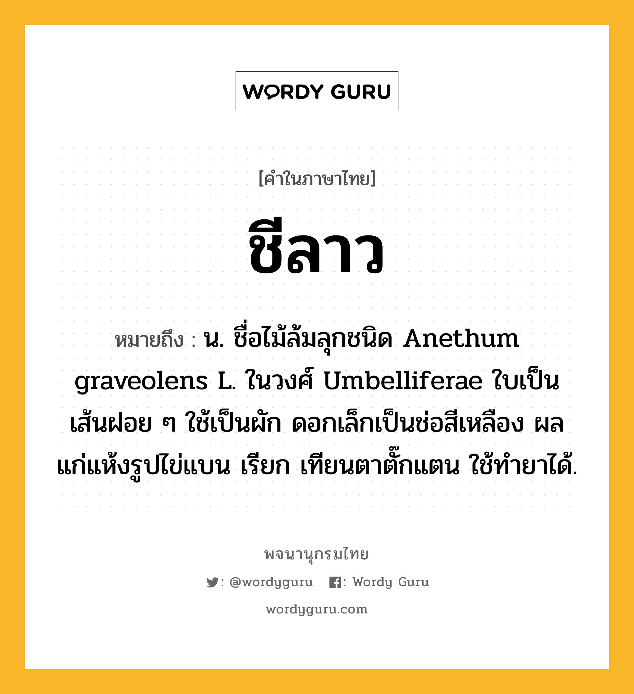 ชีลาว หมายถึงอะไร?, คำในภาษาไทย ชีลาว หมายถึง น. ชื่อไม้ล้มลุกชนิด Anethum graveolens L. ในวงศ์ Umbelliferae ใบเป็นเส้นฝอย ๆ ใช้เป็นผัก ดอกเล็กเป็นช่อสีเหลือง ผลแก่แห้งรูปไข่แบน เรียก เทียนตาตั๊กแตน ใช้ทํายาได้.