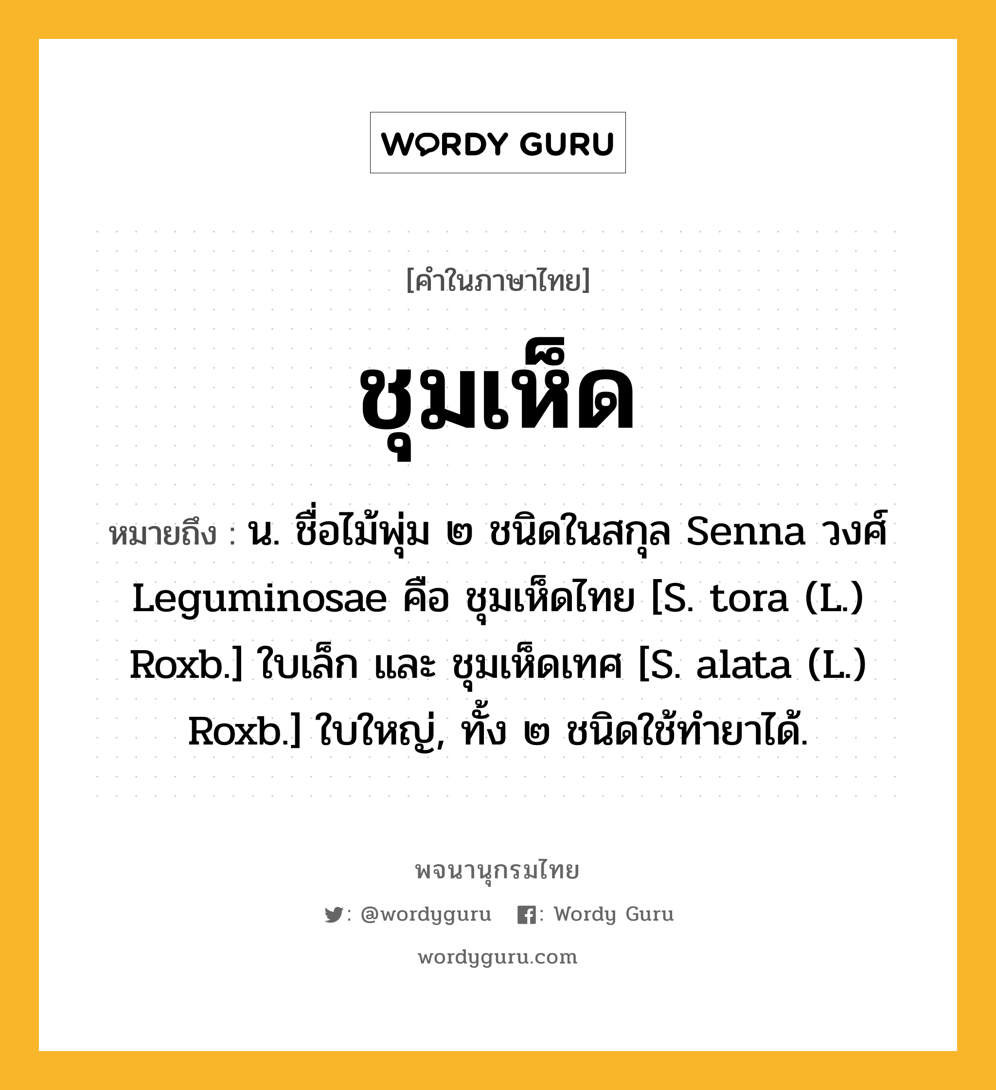 ชุมเห็ด หมายถึงอะไร?, คำในภาษาไทย ชุมเห็ด หมายถึง น. ชื่อไม้พุ่ม ๒ ชนิดในสกุล Senna วงศ์ Leguminosae คือ ชุมเห็ดไทย [S. tora (L.) Roxb.] ใบเล็ก และ ชุมเห็ดเทศ [S. alata (L.) Roxb.] ใบใหญ่, ทั้ง ๒ ชนิดใช้ทํายาได้.