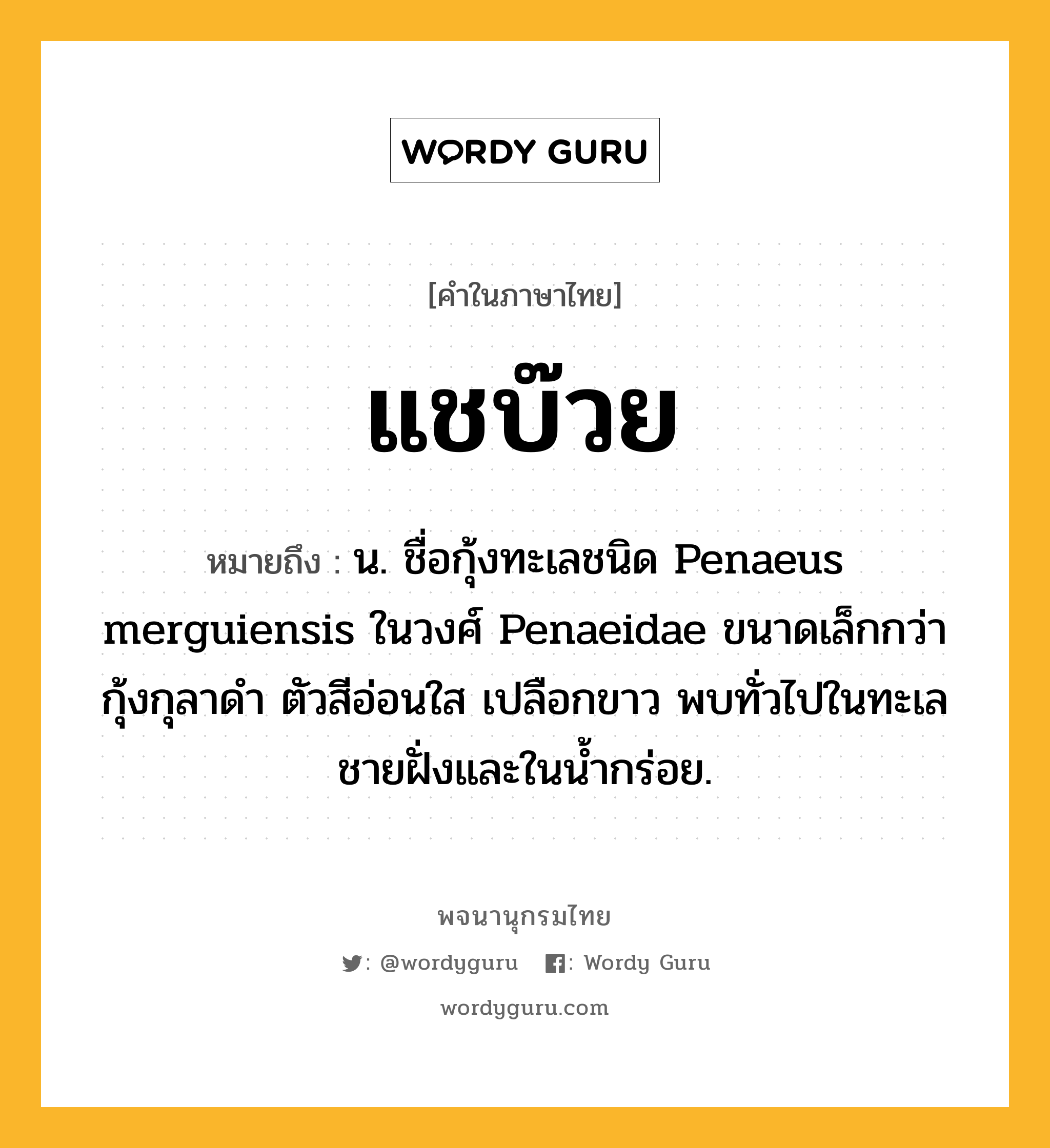 แชบ๊วย หมายถึงอะไร?, คำในภาษาไทย แชบ๊วย หมายถึง น. ชื่อกุ้งทะเลชนิด Penaeus merguiensis ในวงศ์ Penaeidae ขนาดเล็กกว่ากุ้งกุลาดํา ตัวสีอ่อนใส เปลือกขาว พบทั่วไปในทะเลชายฝั่งและในนํ้ากร่อย.