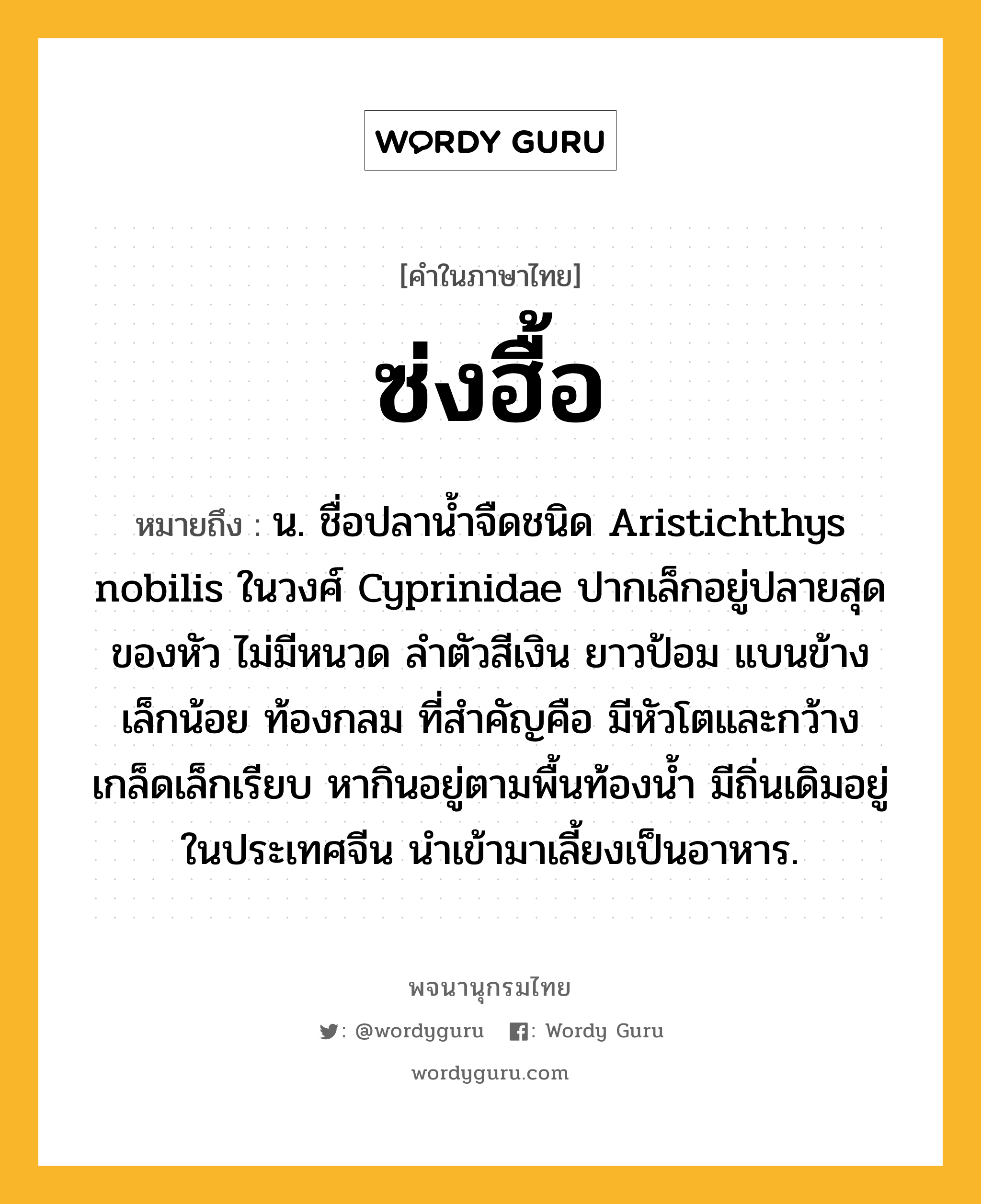 ซ่งฮื้อ หมายถึงอะไร?, คำในภาษาไทย ซ่งฮื้อ หมายถึง น. ชื่อปลานํ้าจืดชนิด Aristichthys nobilis ในวงศ์ Cyprinidae ปากเล็กอยู่ปลายสุดของหัว ไม่มีหนวด ลําตัวสีเงิน ยาวป้อม แบนข้างเล็กน้อย ท้องกลม ที่สําคัญคือ มีหัวโตและกว้าง เกล็ดเล็กเรียบ หากินอยู่ตามพื้นท้องนํ้า มีถิ่นเดิมอยู่ในประเทศจีน นําเข้ามาเลี้ยงเป็นอาหาร.