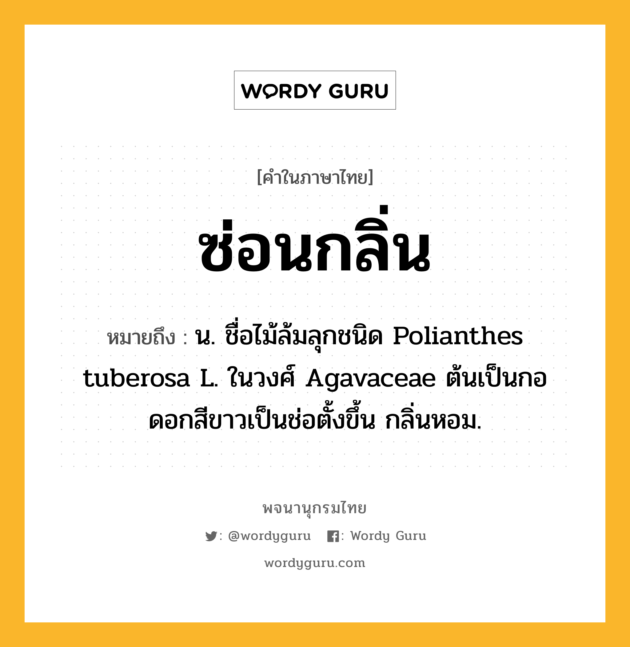 ซ่อนกลิ่น หมายถึงอะไร?, คำในภาษาไทย ซ่อนกลิ่น หมายถึง น. ชื่อไม้ล้มลุกชนิด Polianthes tuberosa L. ในวงศ์ Agavaceae ต้นเป็นกอ ดอกสีขาวเป็นช่อตั้งขึ้น กลิ่นหอม.