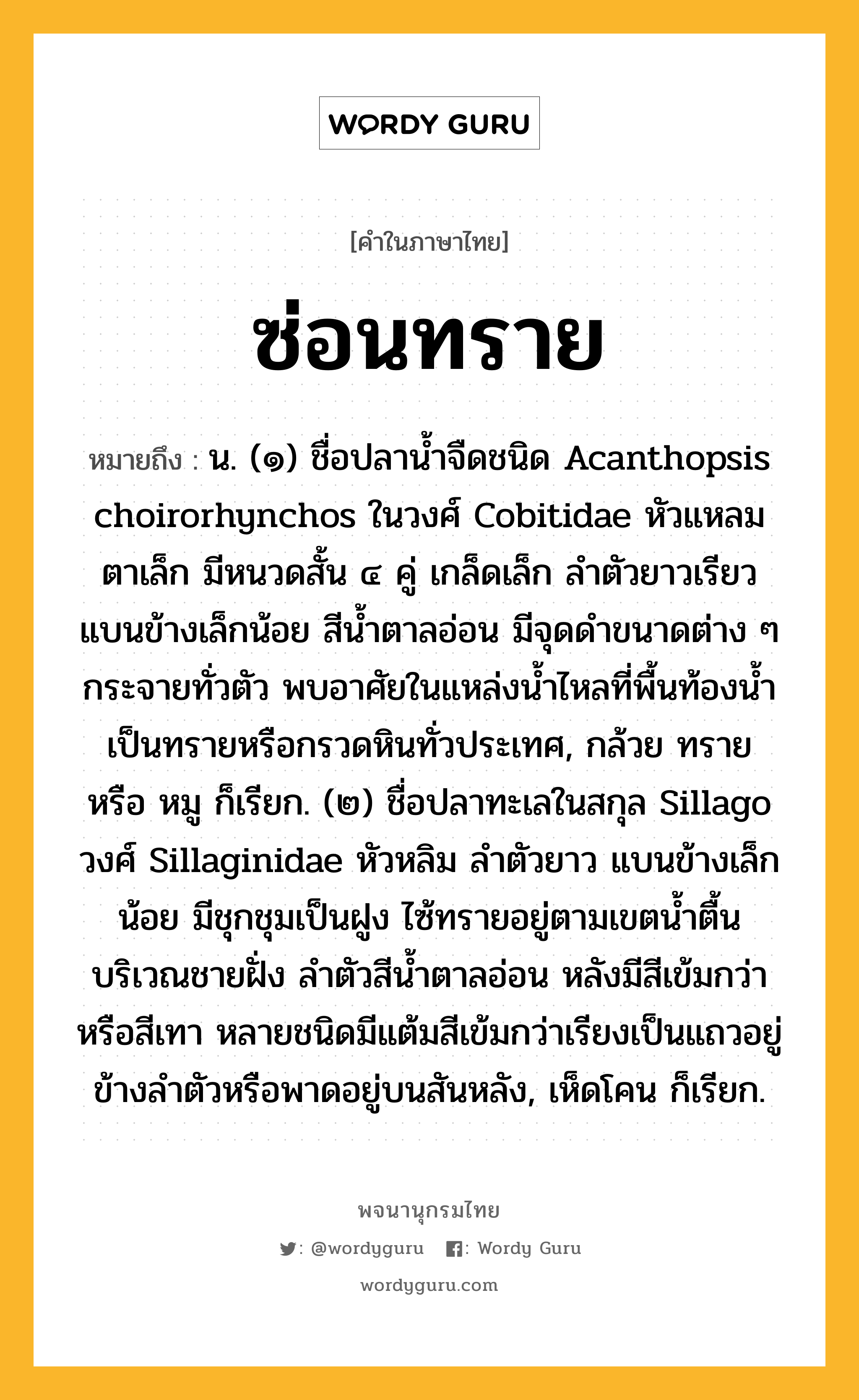 ซ่อนทราย หมายถึงอะไร?, คำในภาษาไทย ซ่อนทราย หมายถึง น. (๑) ชื่อปลานํ้าจืดชนิด Acanthopsis choirorhynchos ในวงศ์ Cobitidae หัวแหลม ตาเล็ก มีหนวดสั้น ๔ คู่ เกล็ดเล็ก ลําตัวยาวเรียว แบนข้างเล็กน้อย สีนํ้าตาลอ่อน มีจุดดําขนาดต่าง ๆ กระจายทั่วตัว พบอาศัยในแหล่งนํ้าไหลที่พื้นท้องนํ้าเป็นทรายหรือกรวดหินทั่วประเทศ, กล้วย ทราย หรือ หมู ก็เรียก. (๒) ชื่อปลาทะเลในสกุล Sillago วงศ์ Sillaginidae หัวหลิม ลําตัวยาว แบนข้างเล็กน้อย มีชุกชุมเป็นฝูง ไซ้ทรายอยู่ตามเขตนํ้าตื้นบริเวณชายฝั่ง ลําตัวสีนํ้าตาลอ่อน หลังมีสีเข้มกว่าหรือสีเทา หลายชนิดมีแต้มสีเข้มกว่าเรียงเป็นแถวอยู่ข้างลําตัวหรือพาดอยู่บนสันหลัง, เห็ดโคน ก็เรียก.