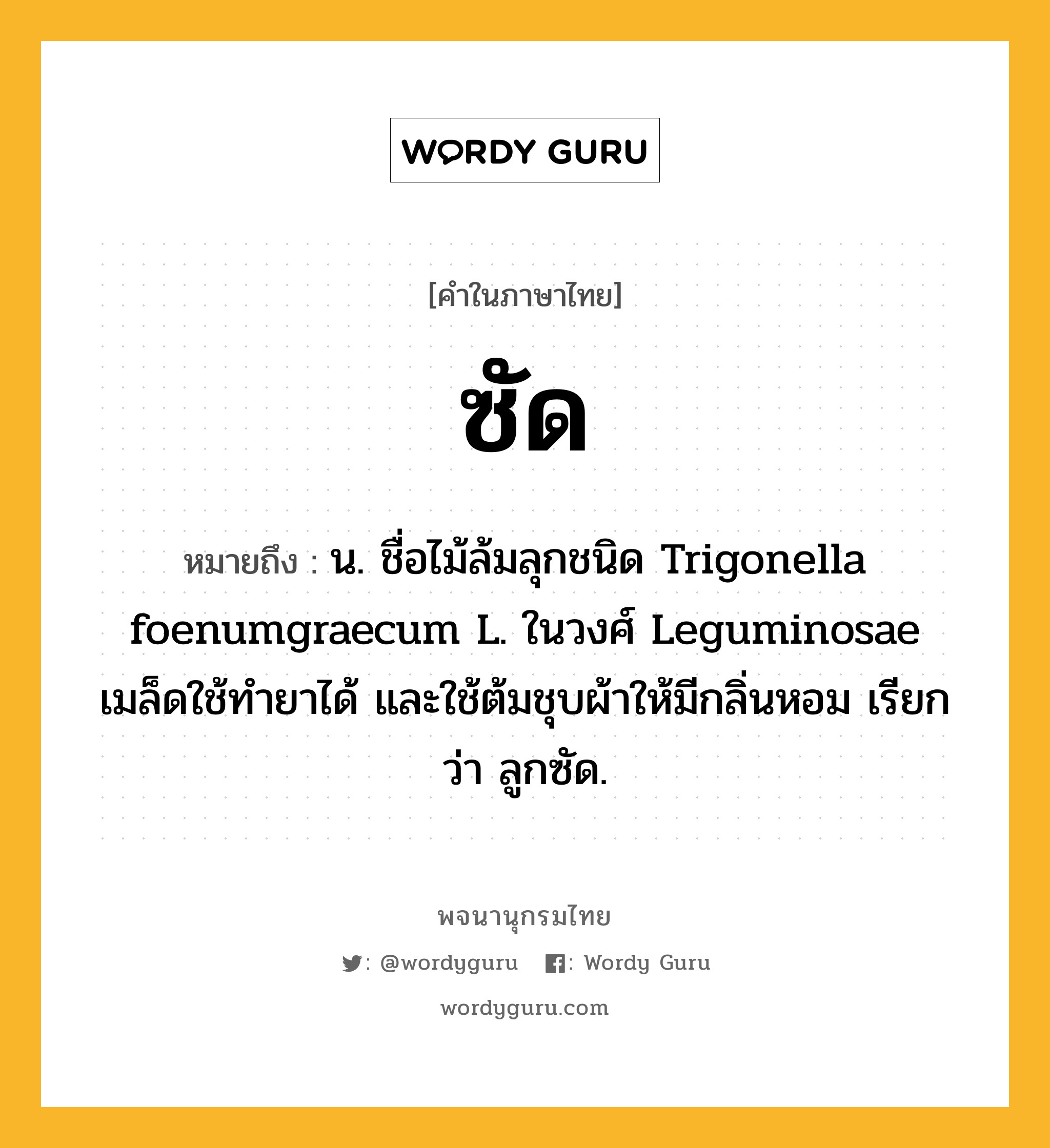 ซัด หมายถึงอะไร?, คำในภาษาไทย ซัด หมายถึง น. ชื่อไม้ล้มลุกชนิด Trigonella foenumgraecum L. ในวงศ์ Leguminosae เมล็ดใช้ทํายาได้ และใช้ต้มชุบผ้าให้มีกลิ่นหอม เรียกว่า ลูกซัด.