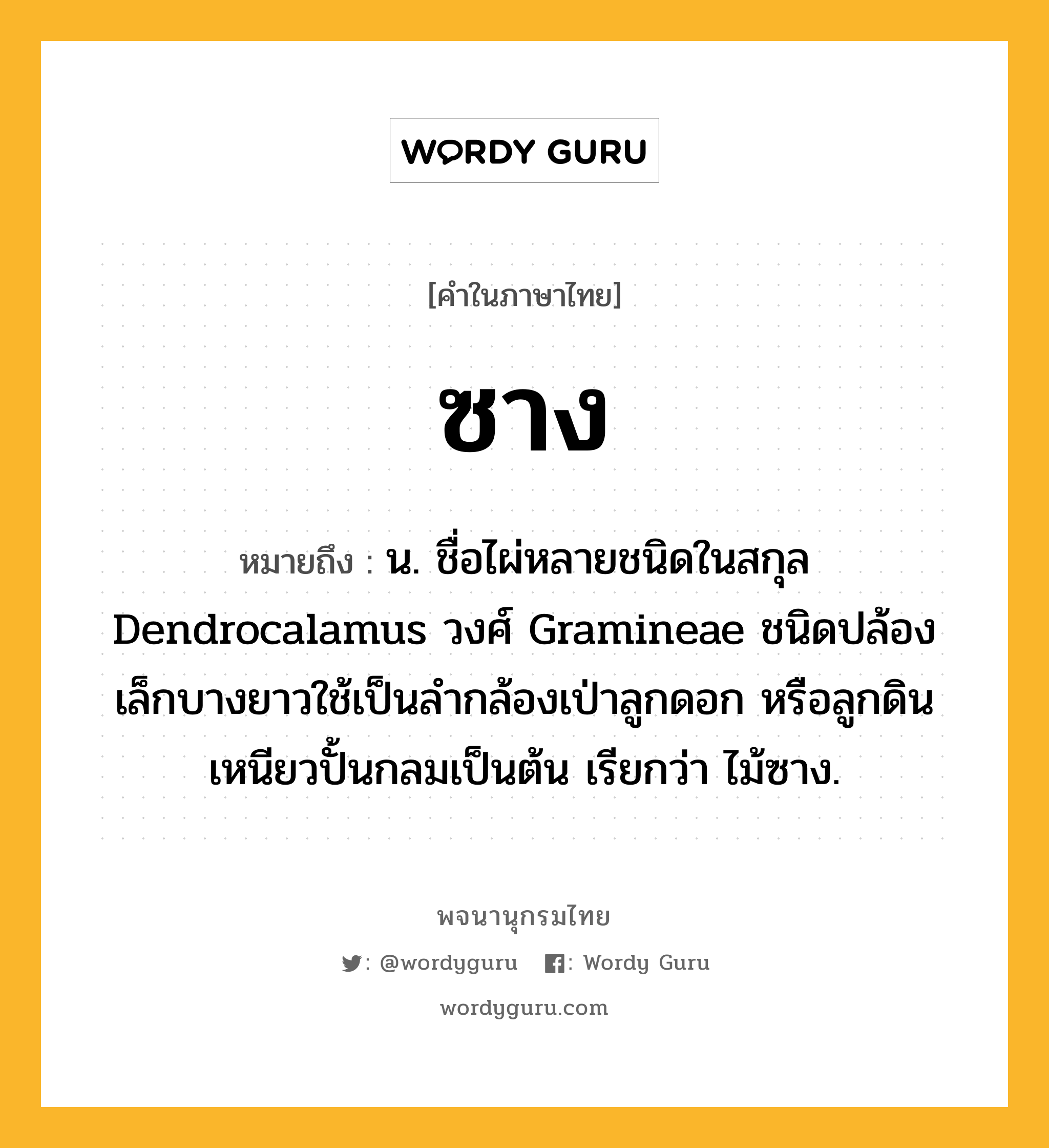 ซาง หมายถึงอะไร?, คำในภาษาไทย ซาง หมายถึง น. ชื่อไผ่หลายชนิดในสกุล Dendrocalamus วงศ์ Gramineae ชนิดปล้องเล็กบางยาวใช้เป็นลํากล้องเป่าลูกดอก หรือลูกดินเหนียวปั้นกลมเป็นต้น เรียกว่า ไม้ซาง.