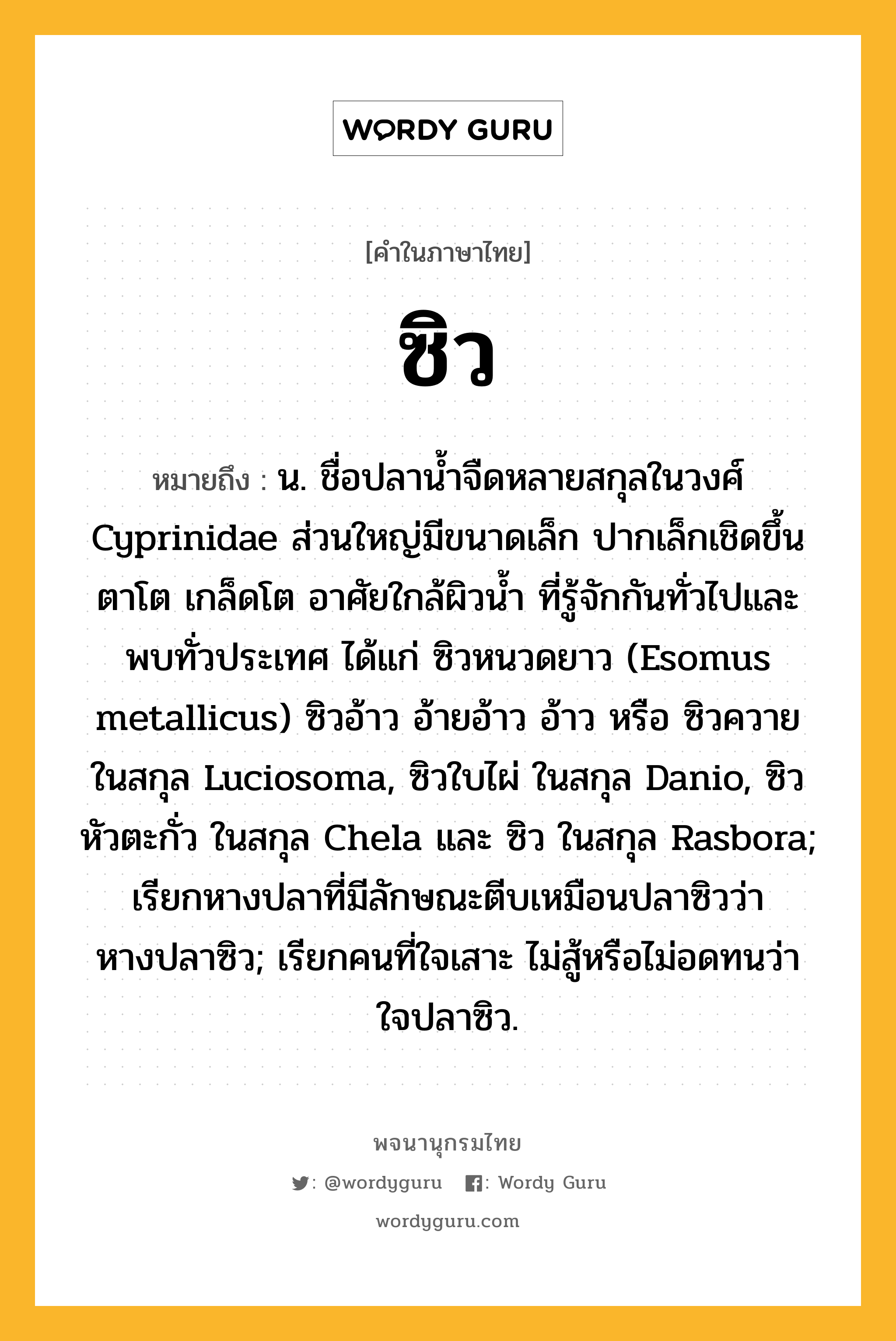 ซิว หมายถึงอะไร?, คำในภาษาไทย ซิว หมายถึง น. ชื่อปลานํ้าจืดหลายสกุลในวงศ์ Cyprinidae ส่วนใหญ่มีขนาดเล็ก ปากเล็กเชิดขึ้น ตาโต เกล็ดโต อาศัยใกล้ผิวนํ้า ที่รู้จักกันทั่วไปและพบทั่วประเทศ ได้แก่ ซิวหนวดยาว (Esomus metallicus) ซิวอ้าว อ้ายอ้าว อ้าว หรือ ซิวควาย ในสกุล Luciosoma, ซิวใบไผ่ ในสกุล Danio, ซิวหัวตะกั่ว ในสกุล Chela และ ซิว ในสกุล Rasbora; เรียกหางปลาที่มีลักษณะตีบเหมือนปลาซิวว่า หางปลาซิว; เรียกคนที่ใจเสาะ ไม่สู้หรือไม่อดทนว่า ใจปลาซิว.