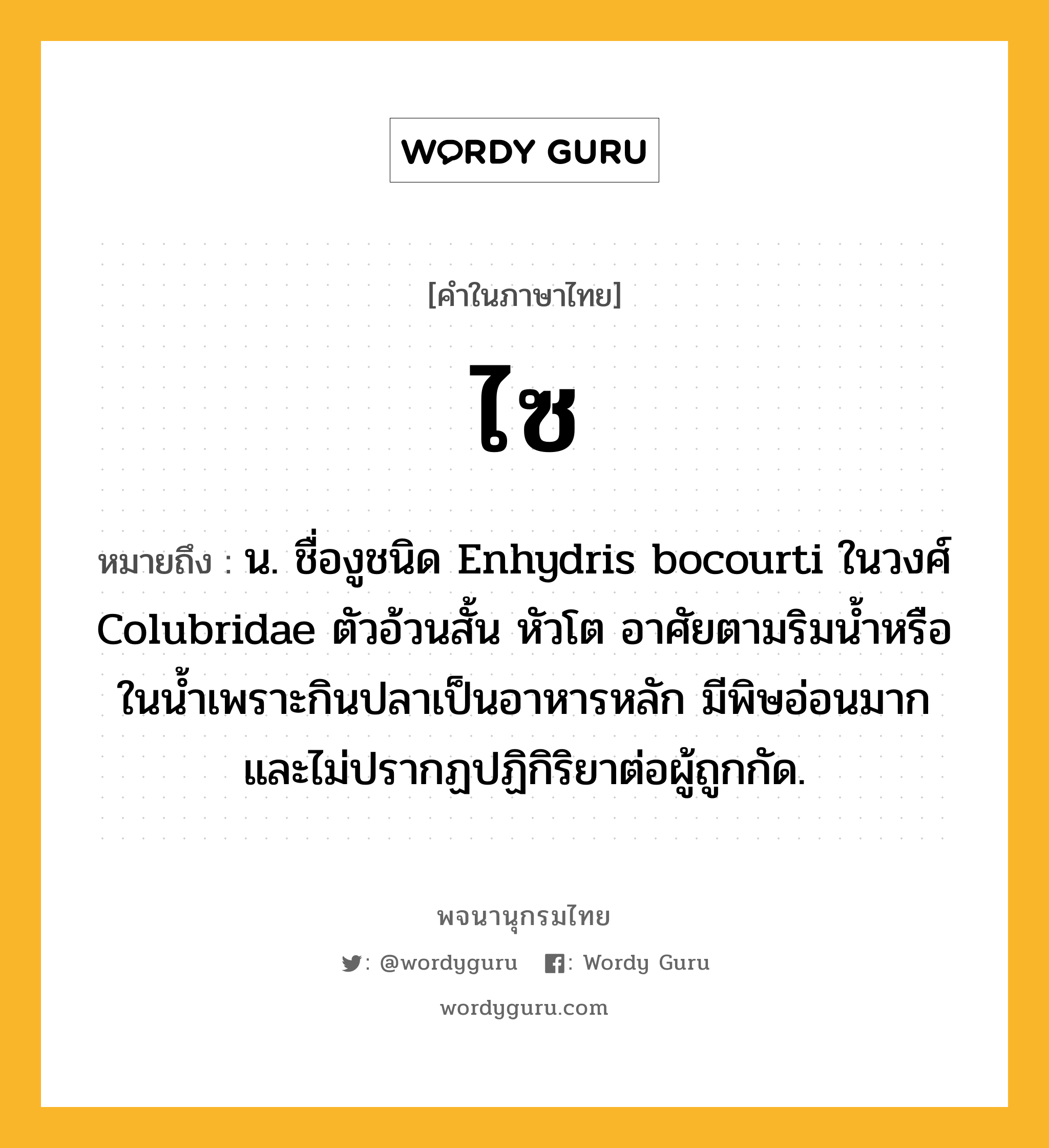 ไซ ความหมาย หมายถึงอะไร?, คำในภาษาไทย ไซ หมายถึง น. ชื่องูชนิด Enhydris bocourti ในวงศ์ Colubridae ตัวอ้วนสั้น หัวโต อาศัยตามริมน้ำหรือในน้ำเพราะกินปลาเป็นอาหารหลัก มีพิษอ่อนมากและไม่ปรากฏปฏิกิริยาต่อผู้ถูกกัด.