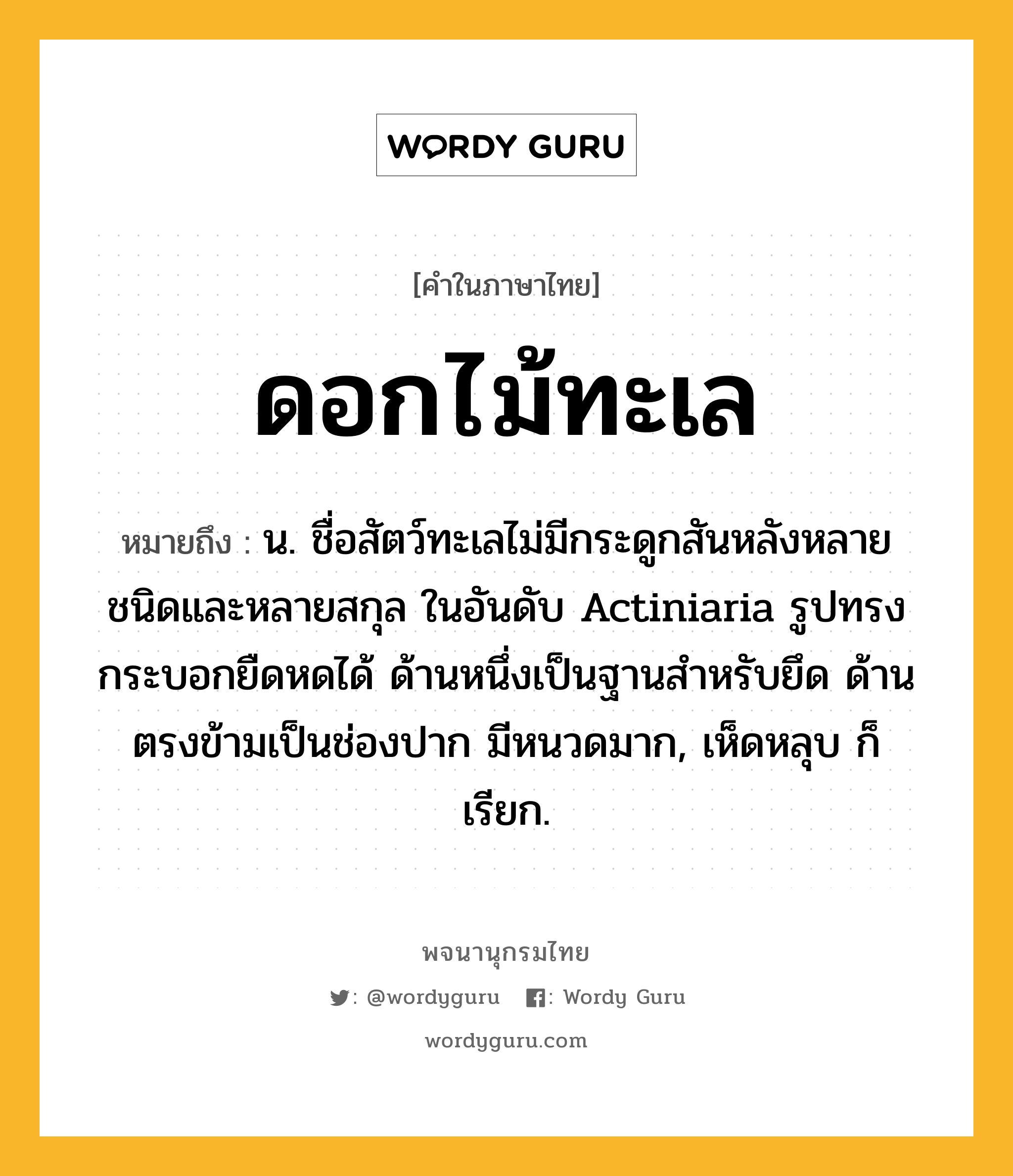 ดอกไม้ทะเล หมายถึงอะไร?, คำในภาษาไทย ดอกไม้ทะเล หมายถึง น. ชื่อสัตว์ทะเลไม่มีกระดูกสันหลังหลายชนิดและหลายสกุล ในอันดับ Actiniaria รูปทรงกระบอกยืดหดได้ ด้านหนึ่งเป็นฐานสําหรับยึด ด้านตรงข้ามเป็นช่องปาก มีหนวดมาก, เห็ดหลุบ ก็เรียก.