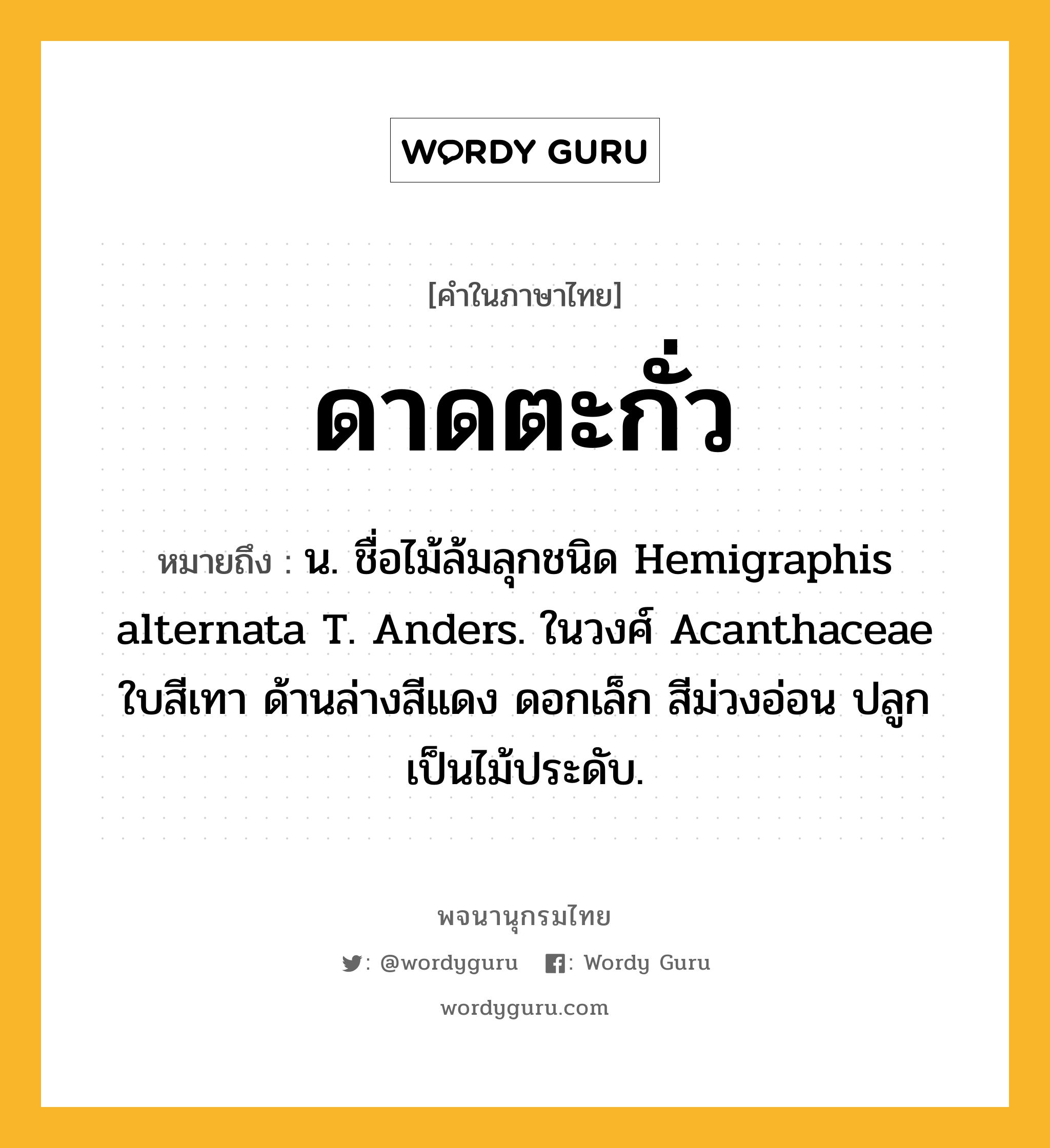 ดาดตะกั่ว หมายถึงอะไร?, คำในภาษาไทย ดาดตะกั่ว หมายถึง น. ชื่อไม้ล้มลุกชนิด Hemigraphis alternata T. Anders. ในวงศ์ Acanthaceae ใบสีเทา ด้านล่างสีแดง ดอกเล็ก สีม่วงอ่อน ปลูกเป็นไม้ประดับ.