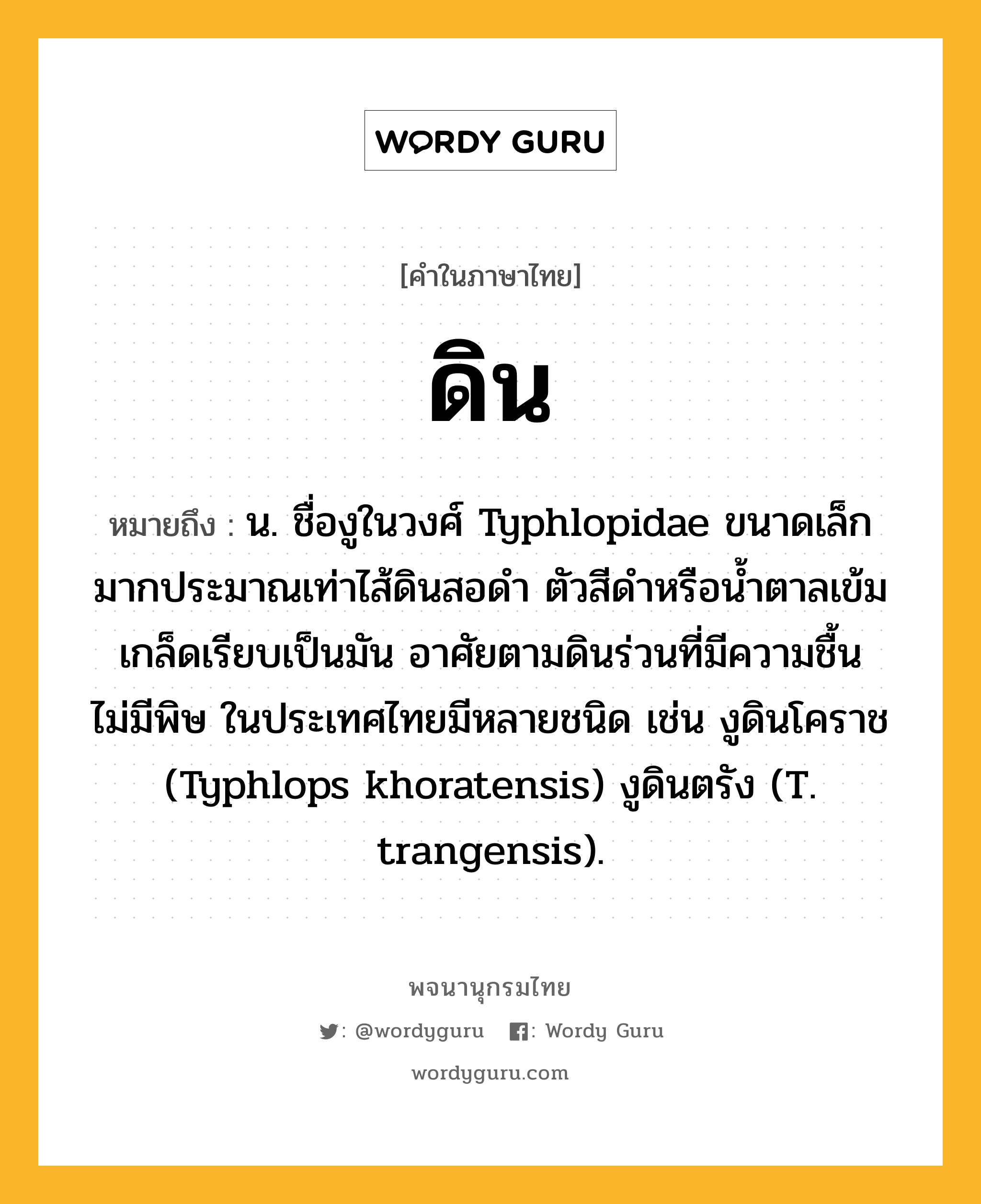 ดิน หมายถึงอะไร?, คำในภาษาไทย ดิน หมายถึง น. ชื่องูในวงศ์ Typhlopidae ขนาดเล็กมากประมาณเท่าไส้ดินสอดํา ตัวสีดําหรือนํ้าตาลเข้มเกล็ดเรียบเป็นมัน อาศัยตามดินร่วนที่มีความชื้น ไม่มีพิษ ในประเทศไทยมีหลายชนิด เช่น งูดินโคราช (Typhlops khoratensis) งูดินตรัง (T. trangensis).