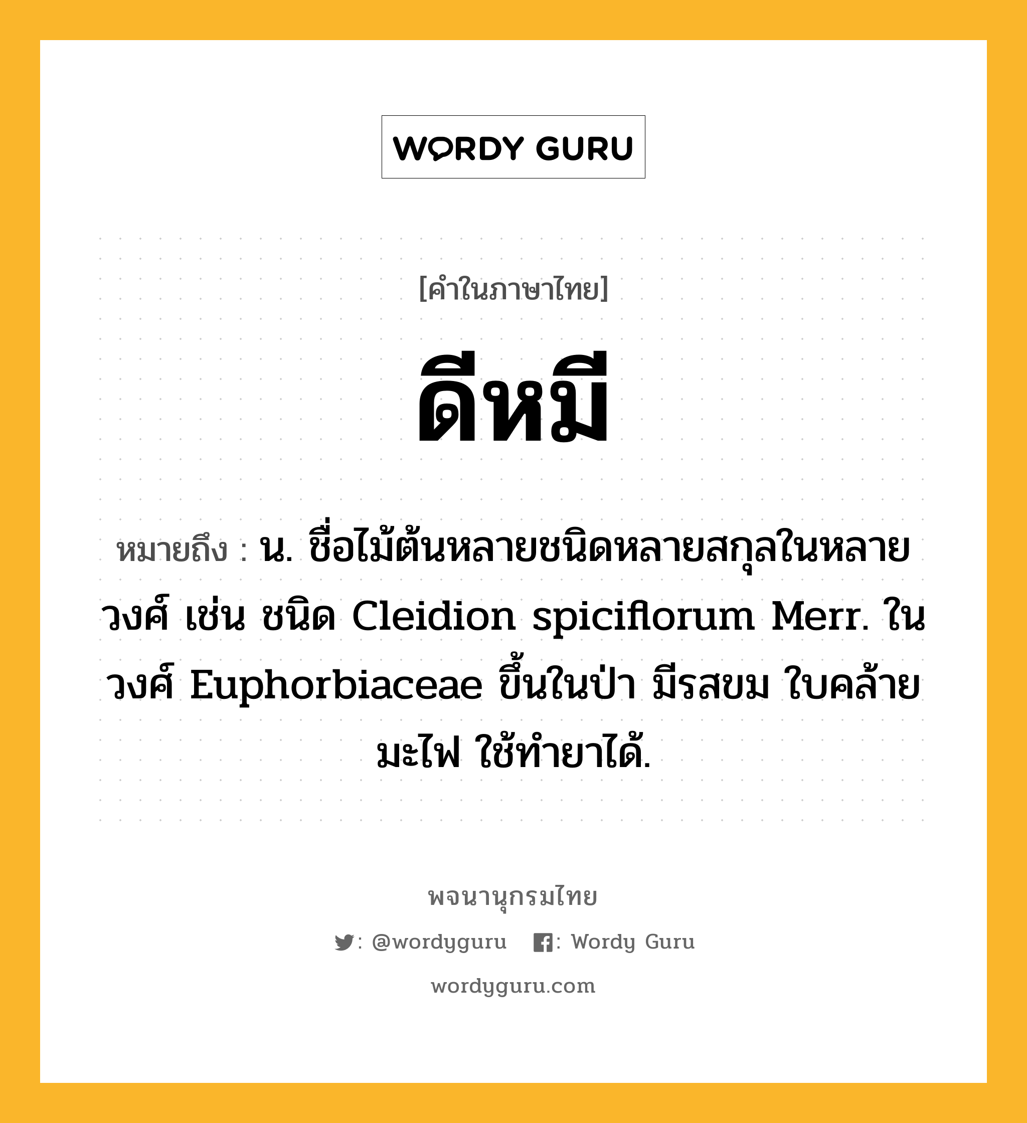 ดีหมี หมายถึงอะไร?, คำในภาษาไทย ดีหมี หมายถึง น. ชื่อไม้ต้นหลายชนิดหลายสกุลในหลายวงศ์ เช่น ชนิด Cleidion spiciflorum Merr. ในวงศ์ Euphorbiaceae ขึ้นในป่า มีรสขม ใบคล้ายมะไฟ ใช้ทํายาได้.