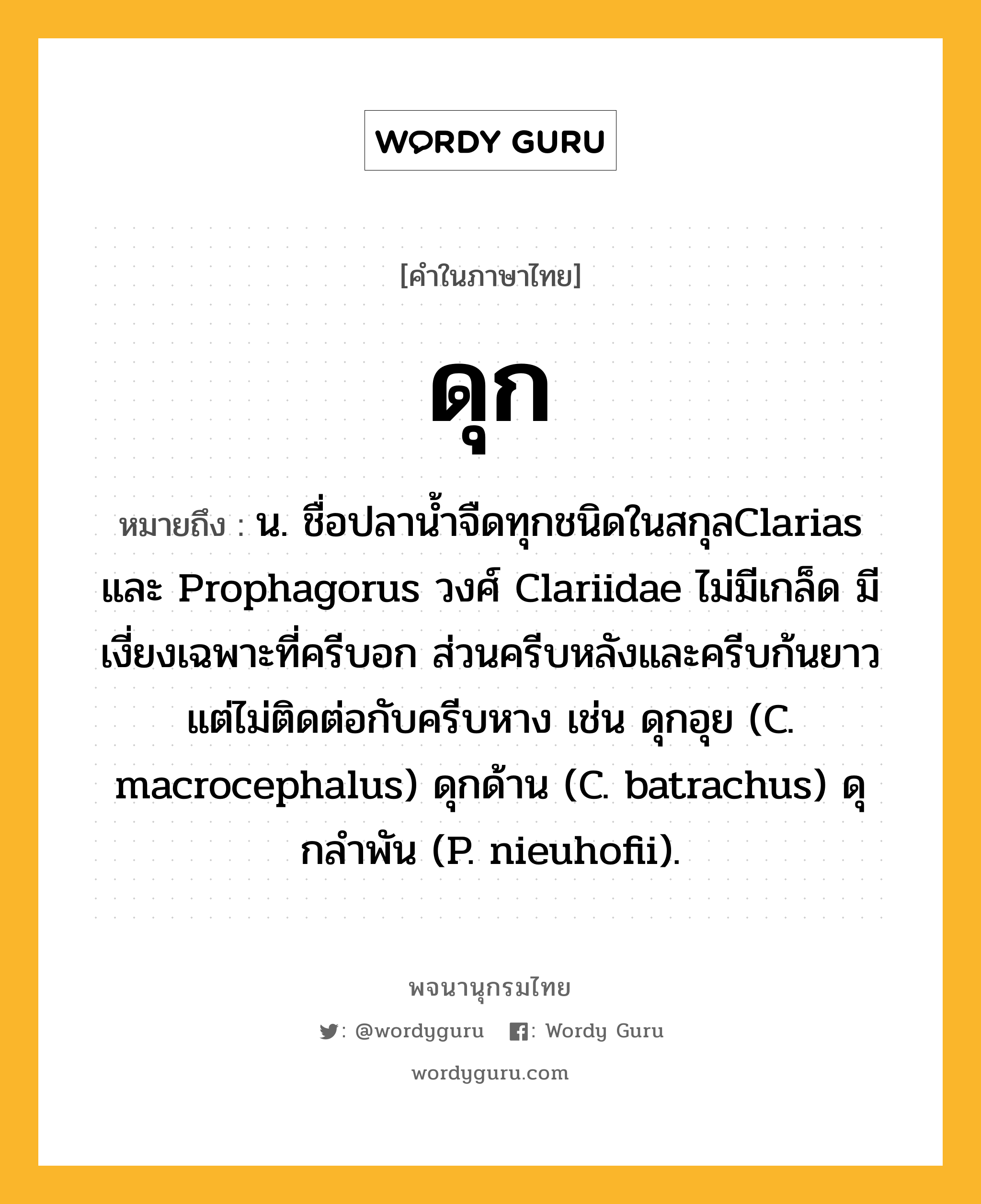 ดุก หมายถึงอะไร?, คำในภาษาไทย ดุก หมายถึง น. ชื่อปลานํ้าจืดทุกชนิดในสกุลClarias และ Prophagorus วงศ์ Clariidae ไม่มีเกล็ด มีเงี่ยงเฉพาะที่ครีบอก ส่วนครีบหลังและครีบก้นยาวแต่ไม่ติดต่อกับครีบหาง เช่น ดุกอุย (C. macrocephalus) ดุกด้าน (C. batrachus) ดุกลําพัน (P. nieuhofii).